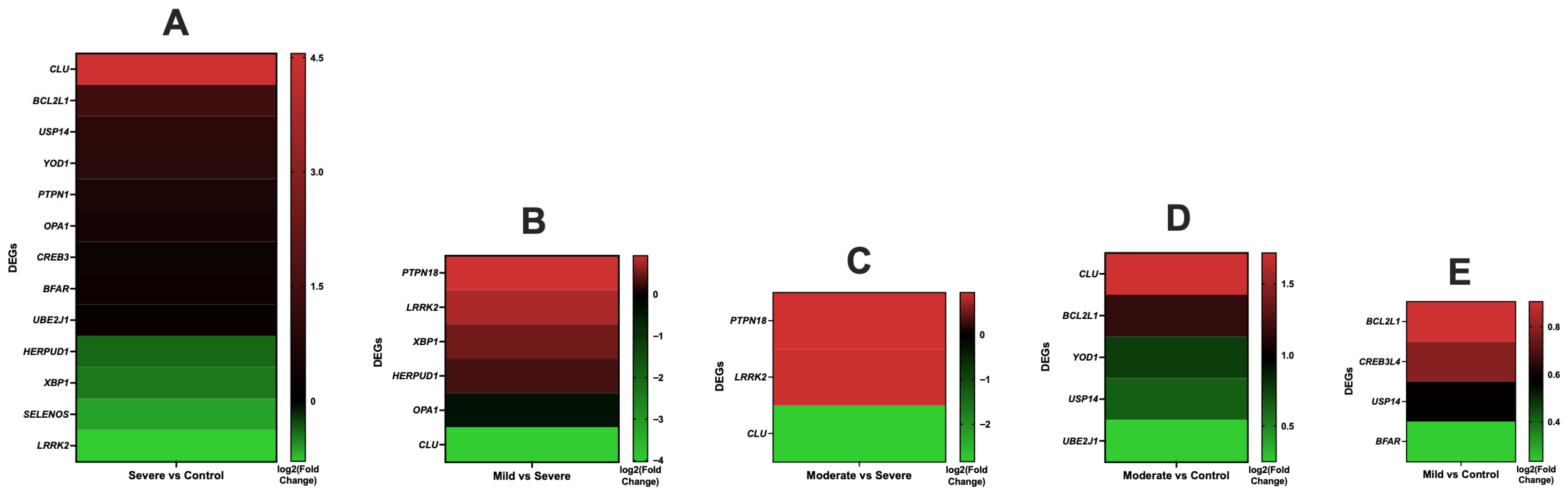Antioxidants 14 01024 g001 Antioxidants 14 01024 g001