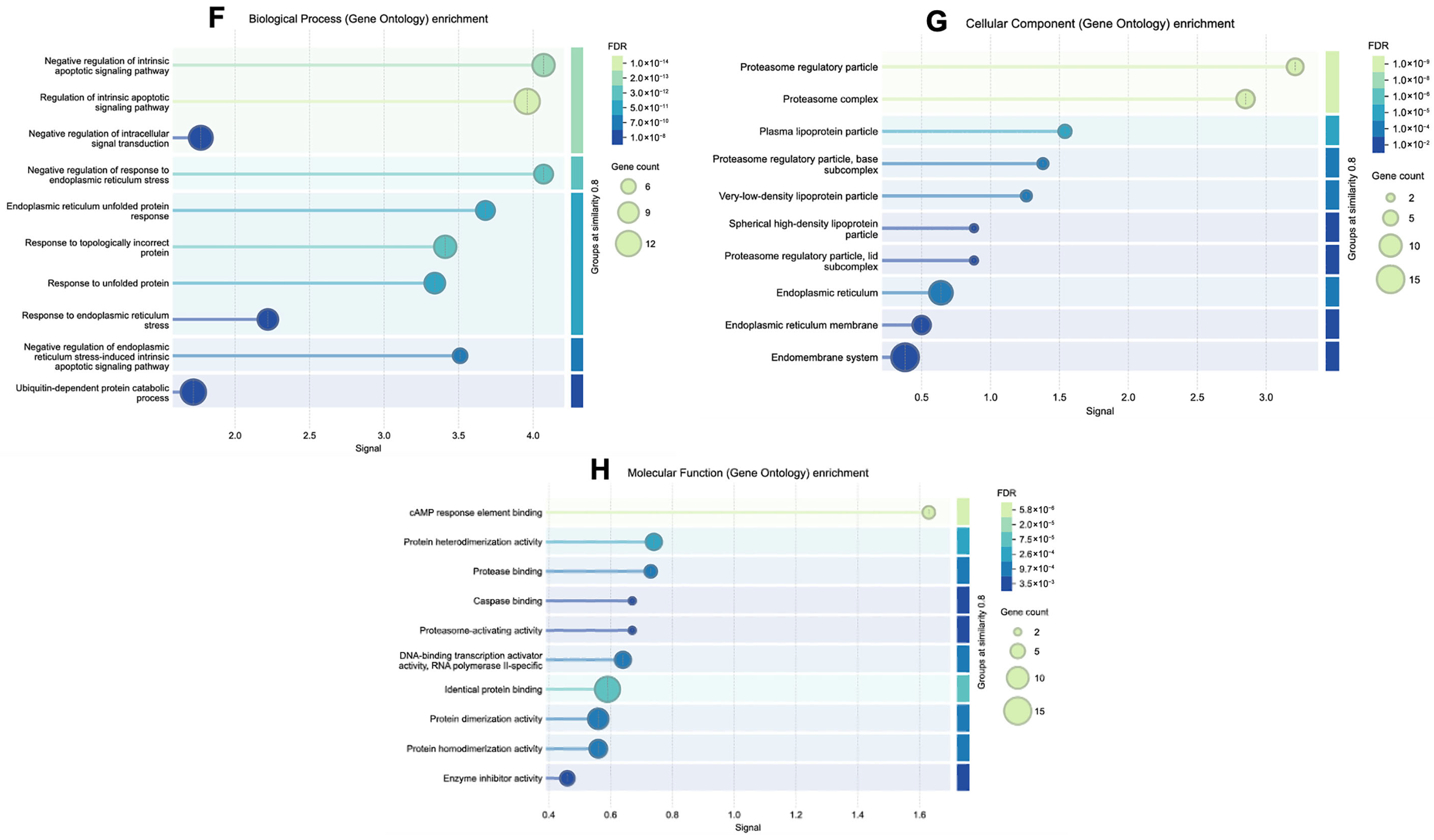 Antioxidants 14 01024 g005b Antioxidants 14 01024 g005b