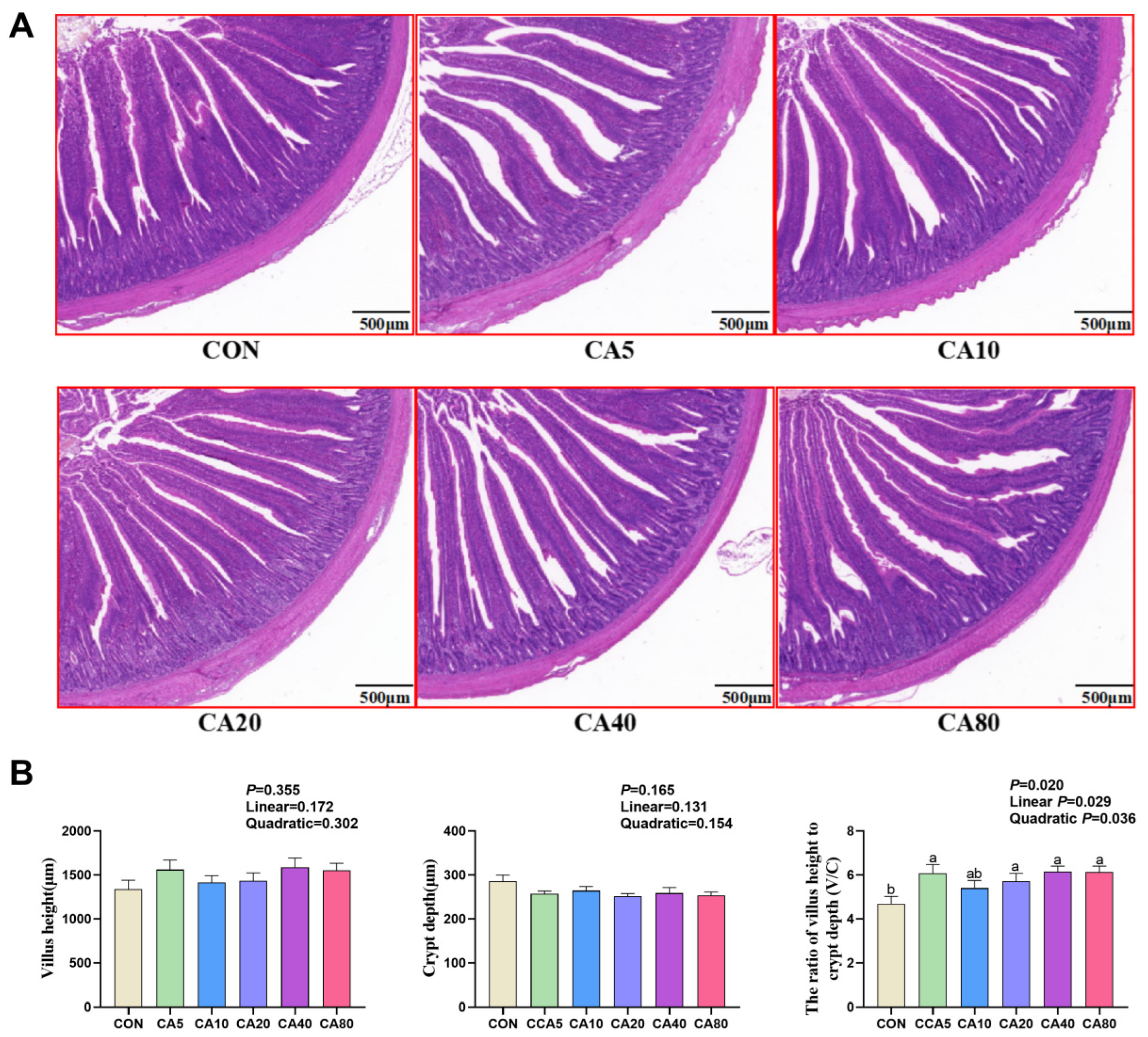 Antioxidants 14 01026 g001