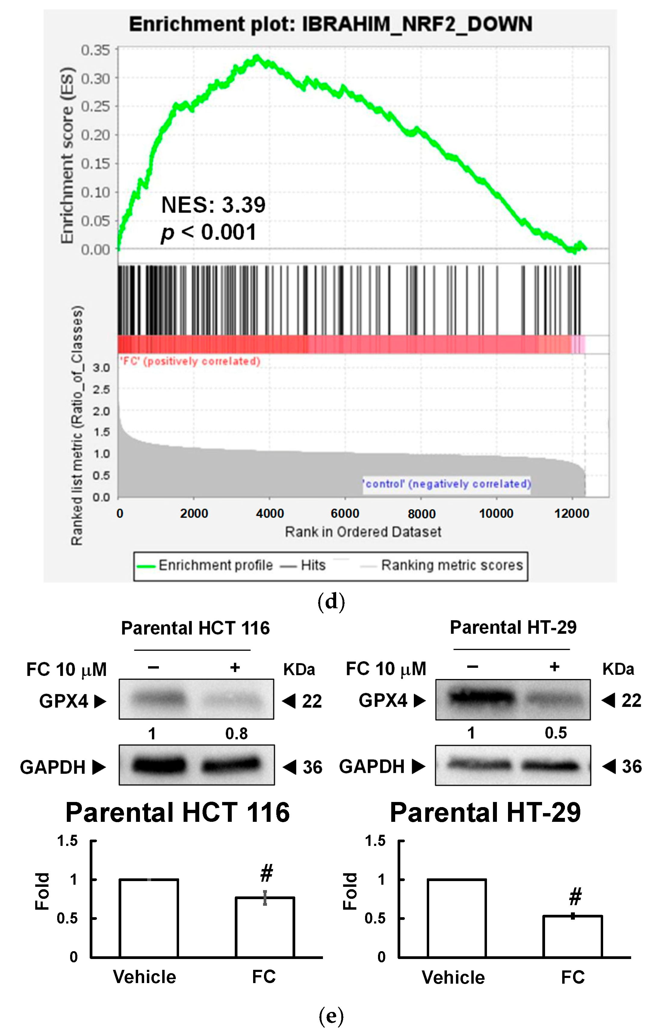 Antioxidants 14 01027 g002b