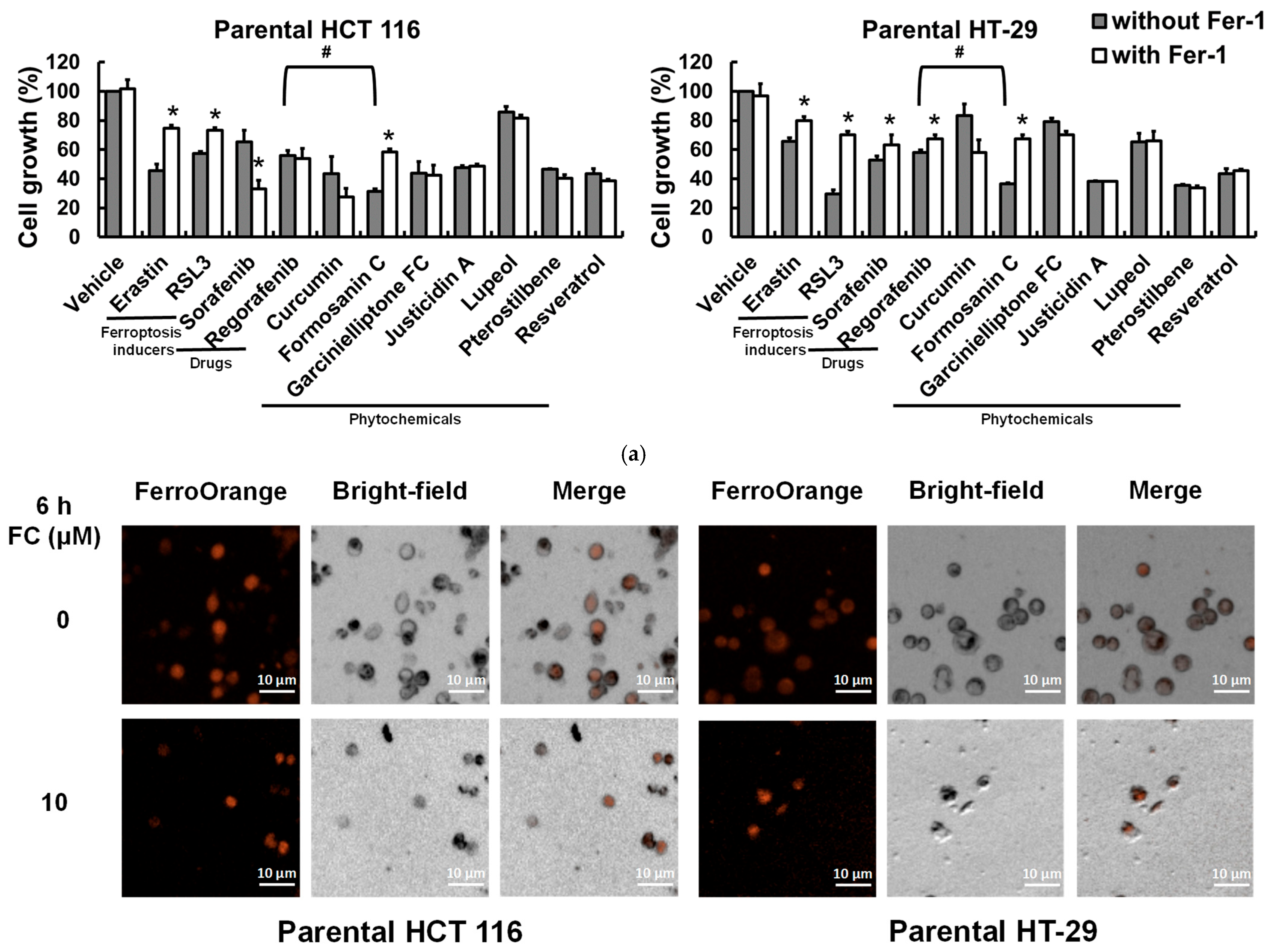 Antioxidants 14 01027 g003a