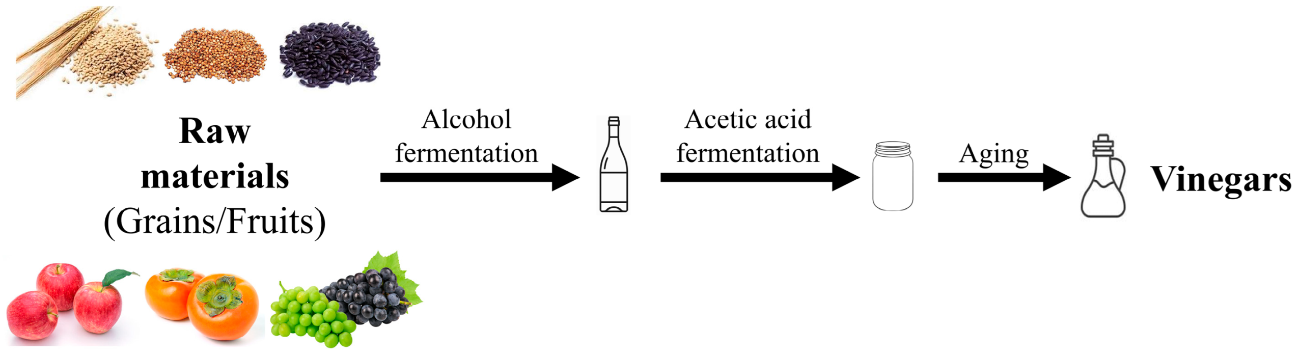 Antioxidants 14 01029 g001
