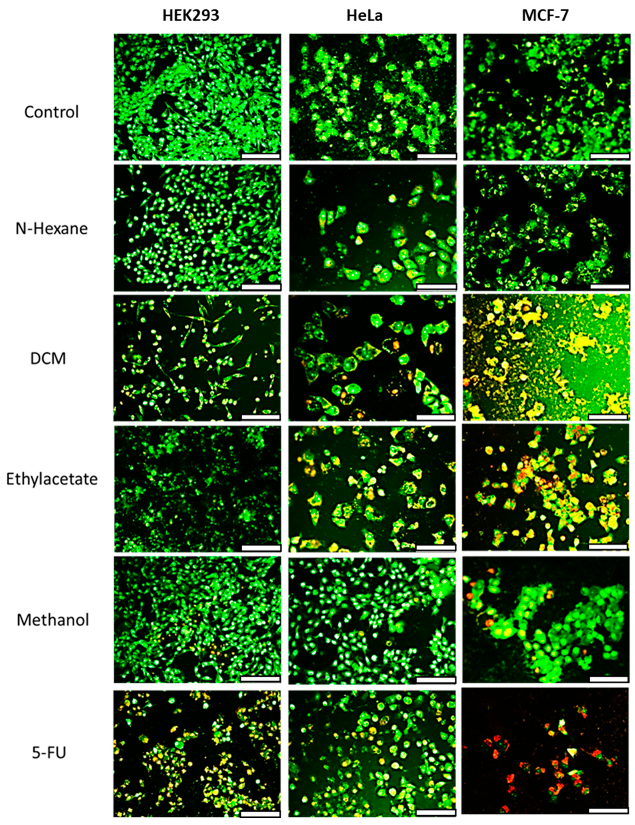 Antioxidants 14 01035 g003