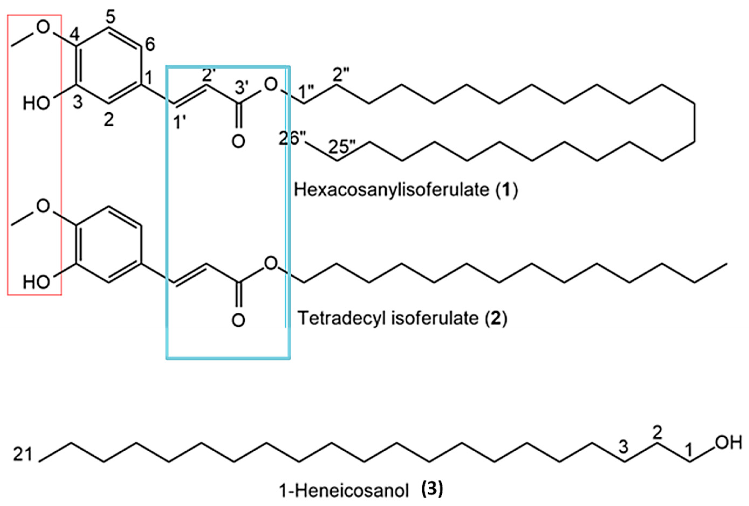 Antioxidants 14 01035 g004