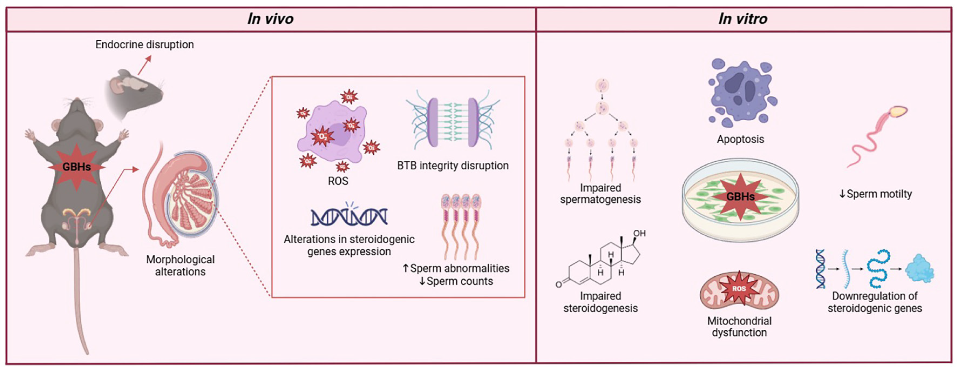 Antioxidants 14 01036 g004 Antioxidants 14 01036 g004
