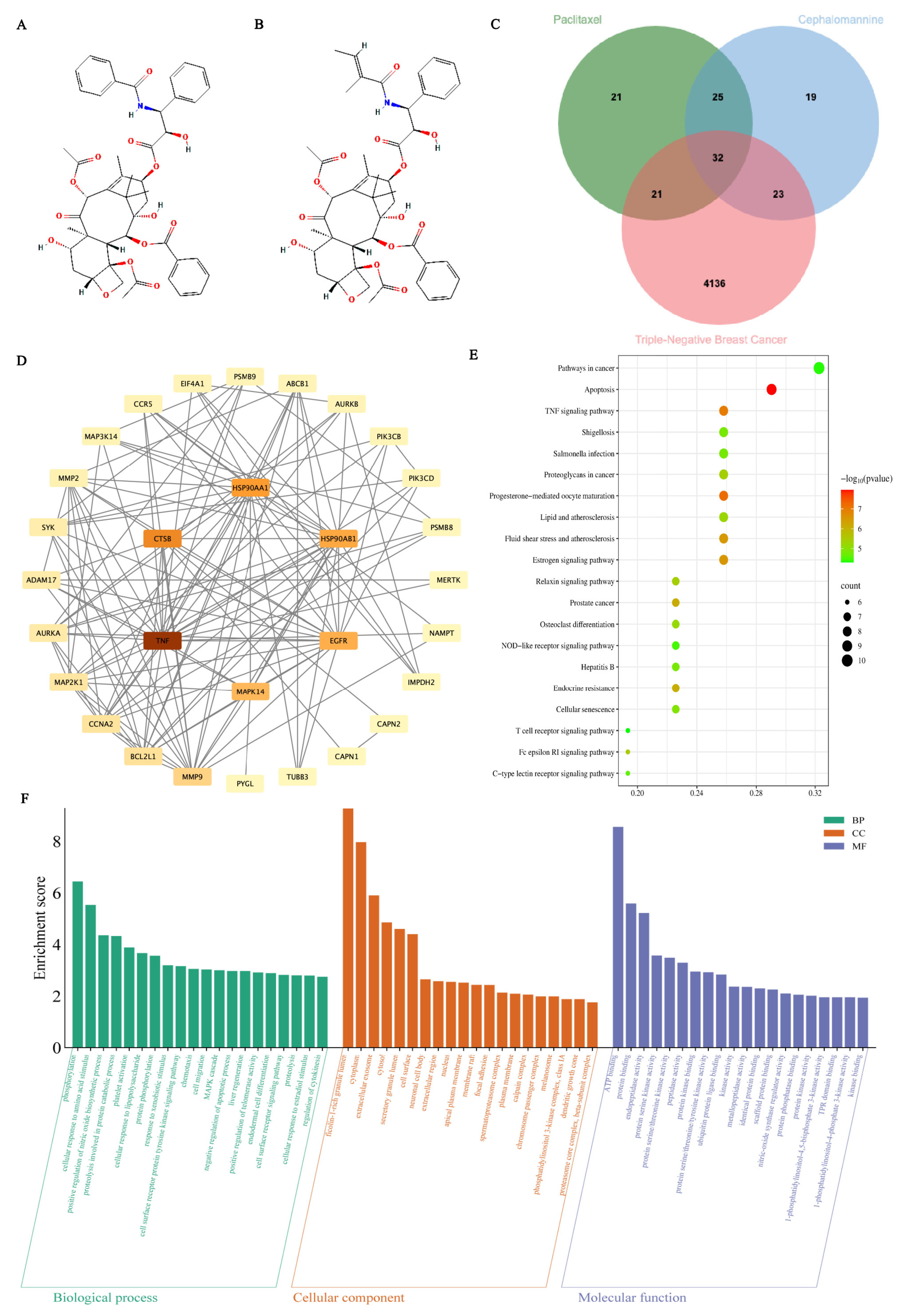 Antioxidants 14 01037 g001