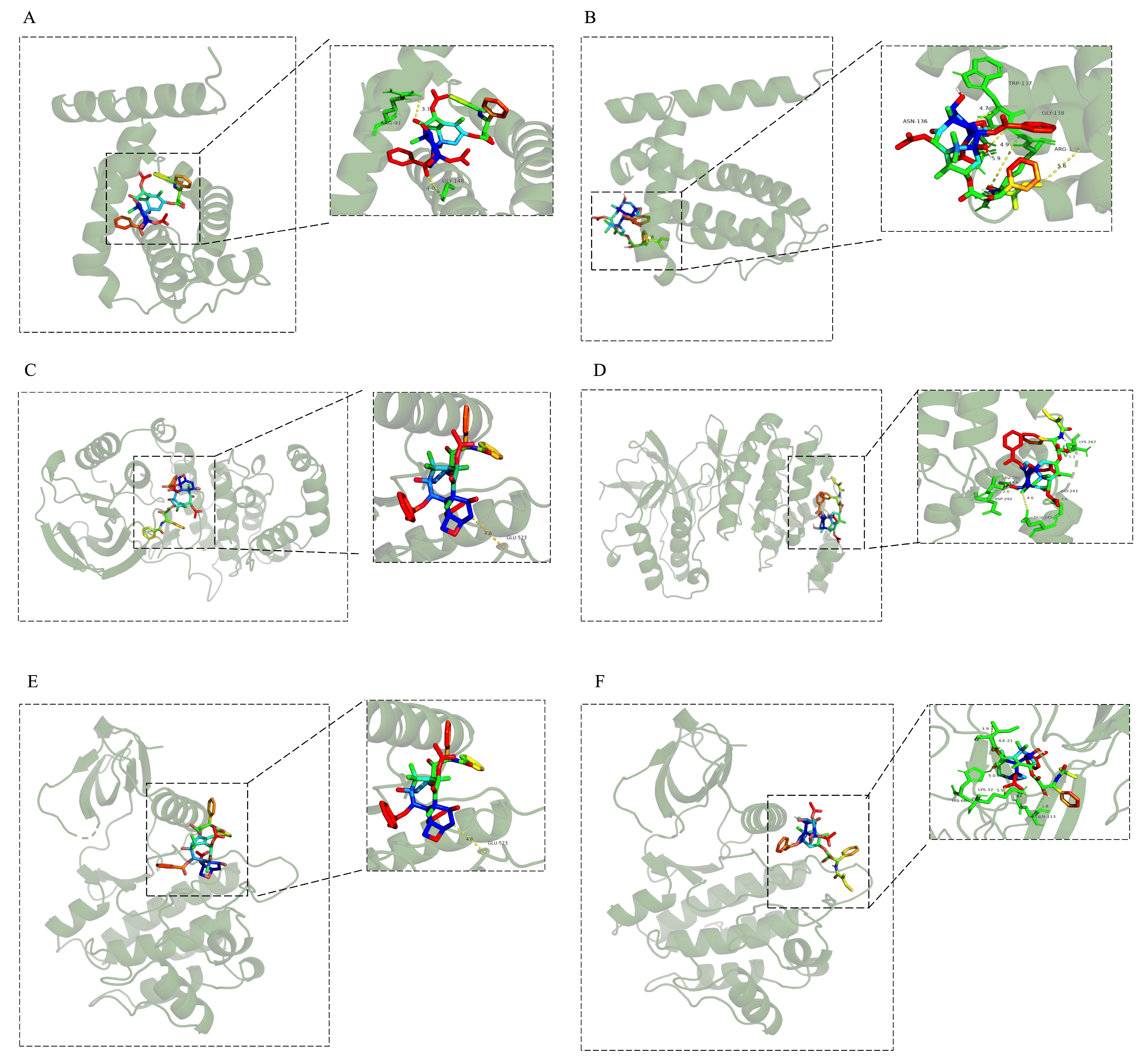 Antioxidants 14 01037 g002a