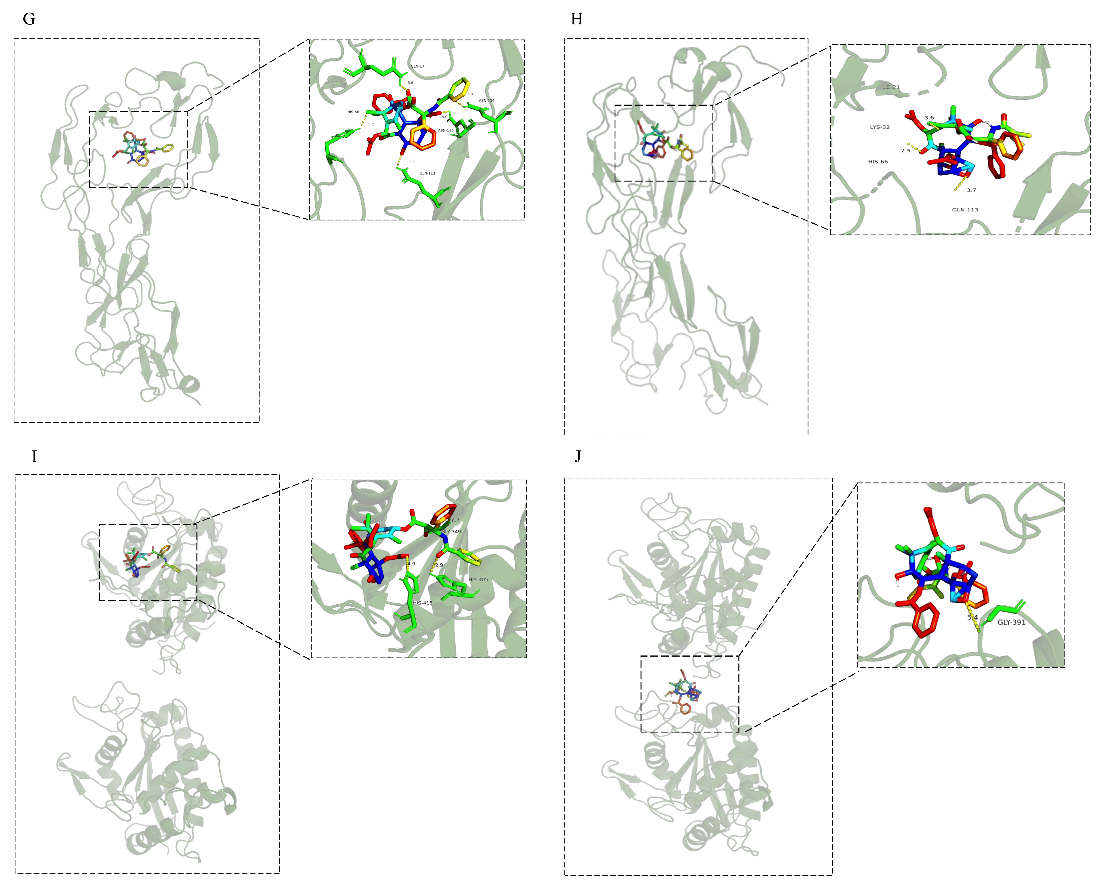 Antioxidants 14 01037 g002b