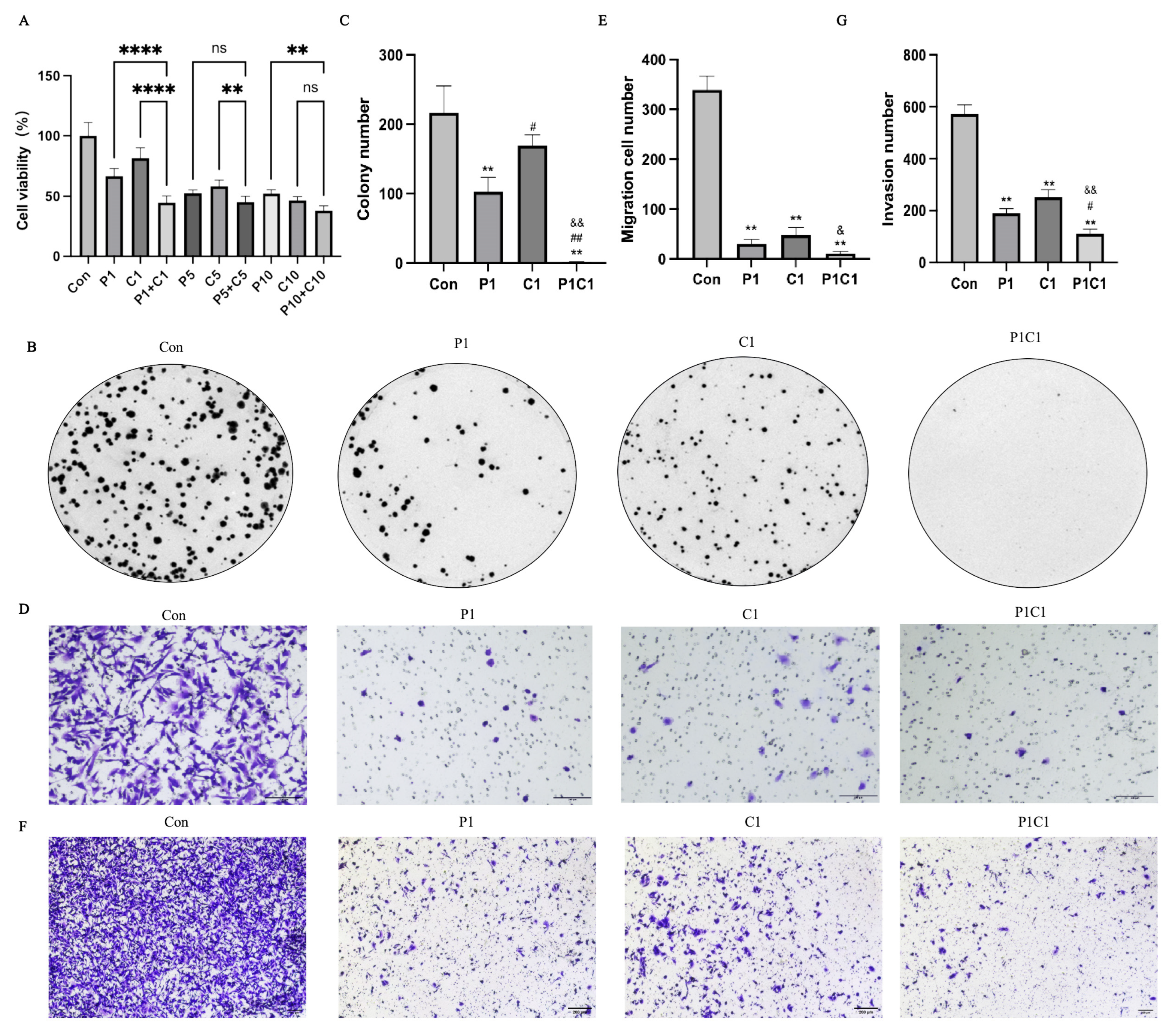 Antioxidants 14 01037 g003