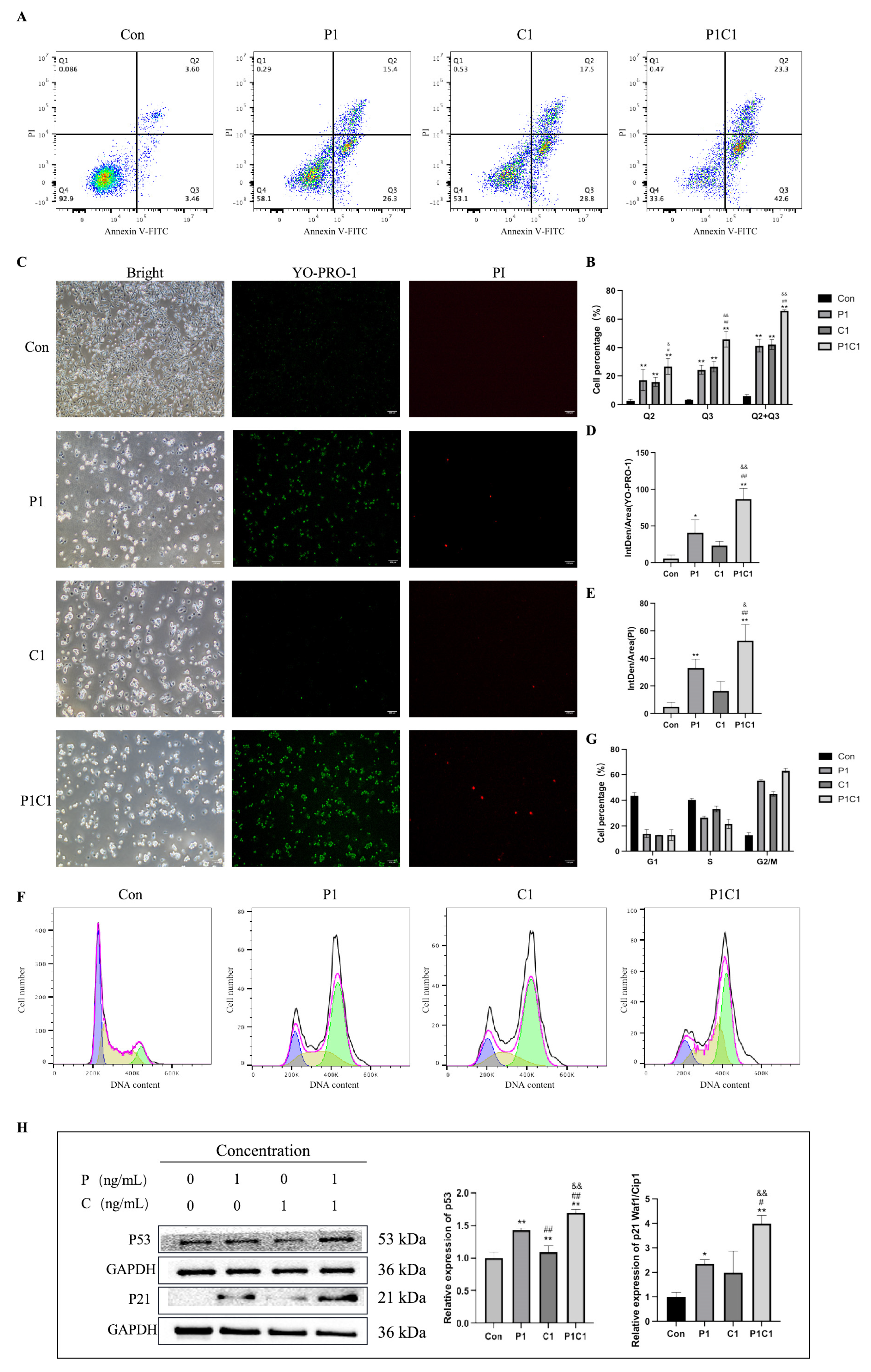 Antioxidants 14 01037 g004