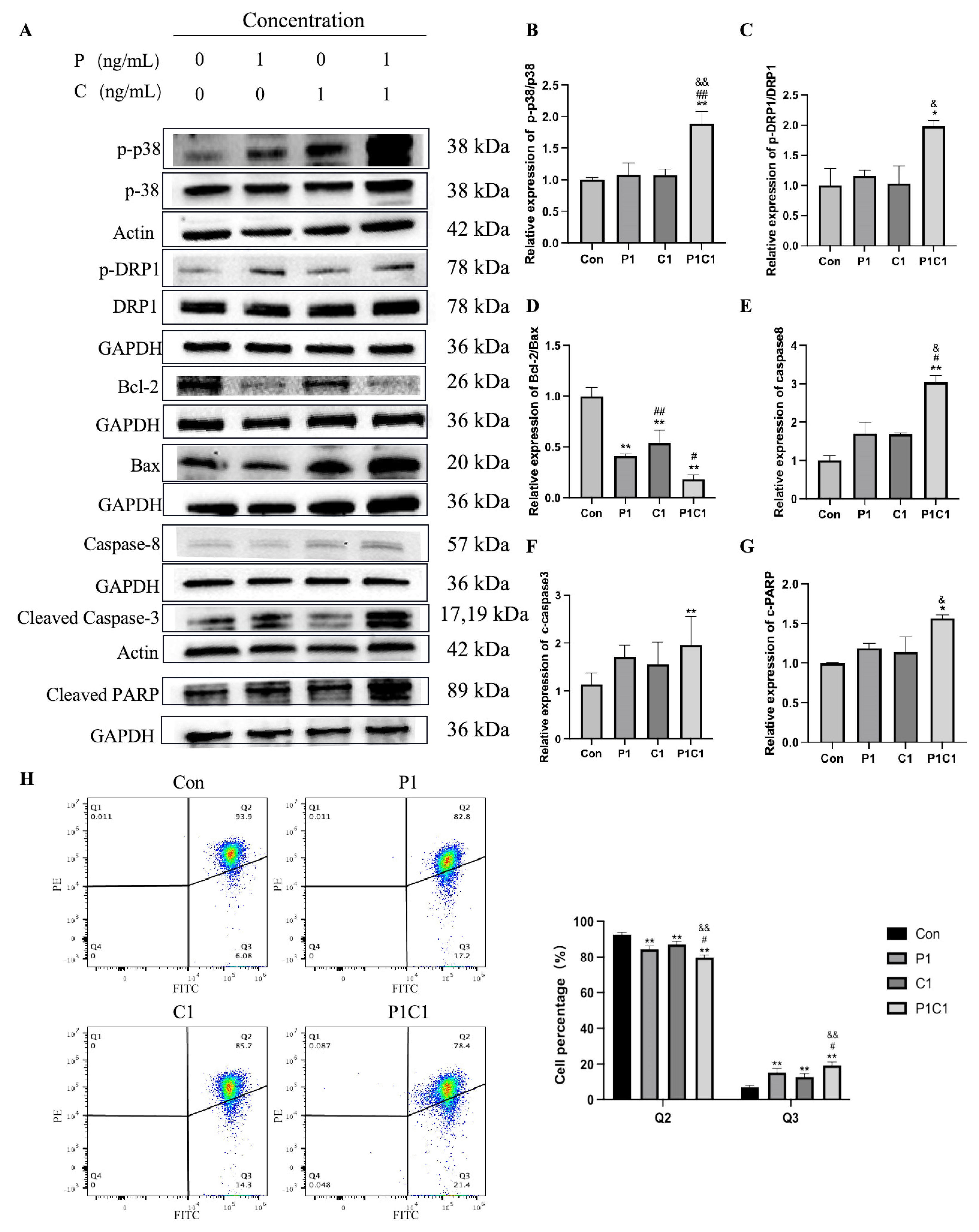 Antioxidants 14 01037 g007