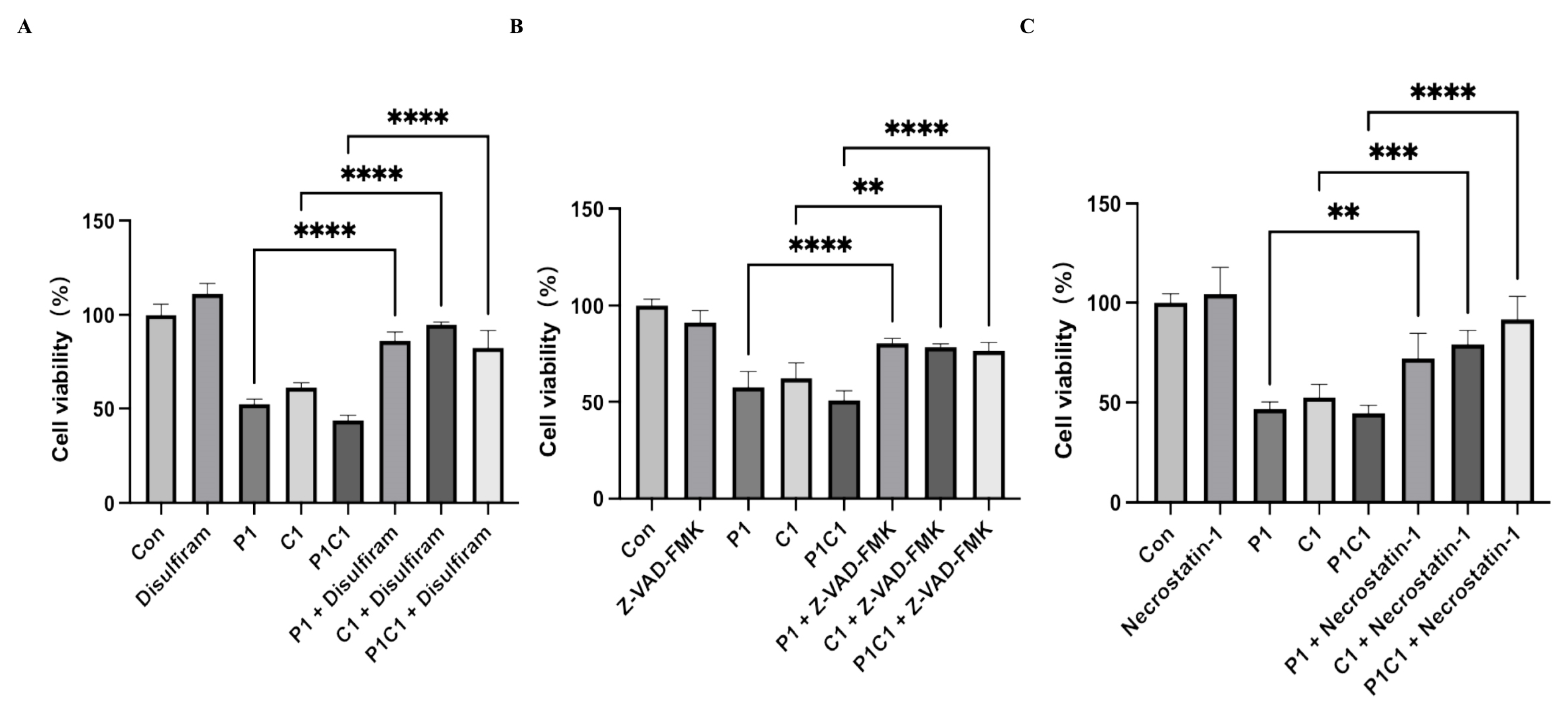 Antioxidants 14 01037 g010