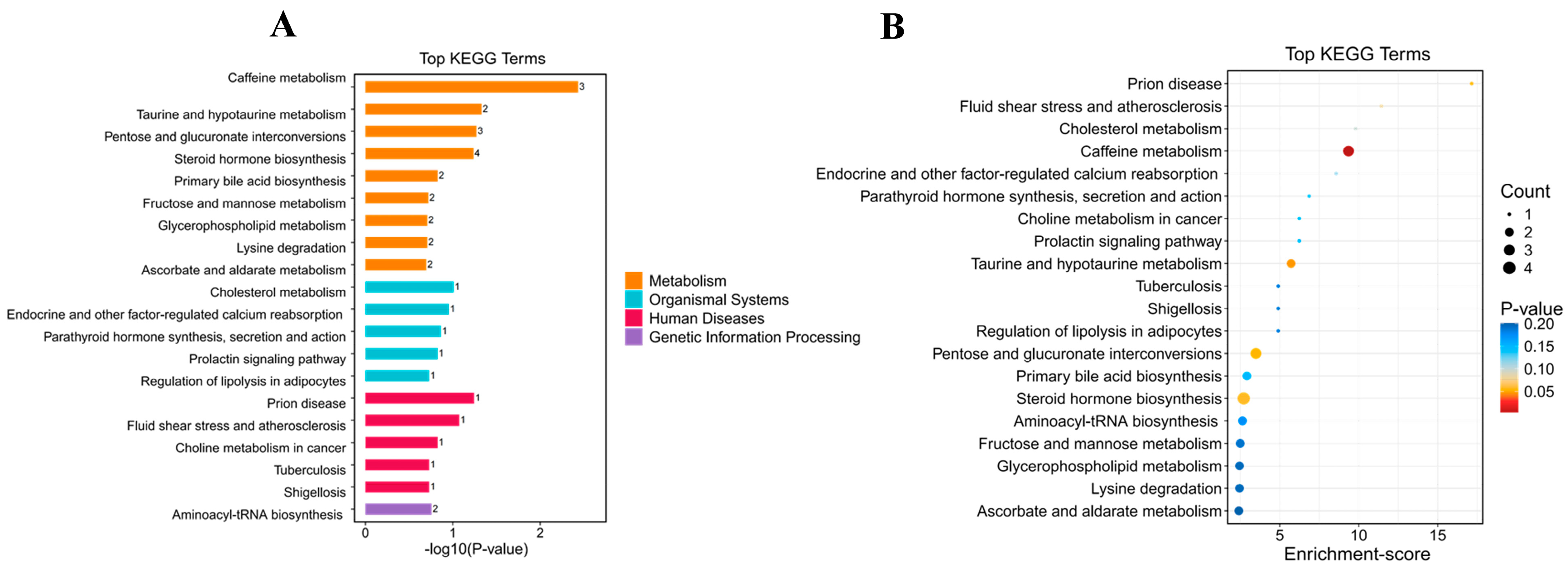 Antioxidants 14 01038 g008