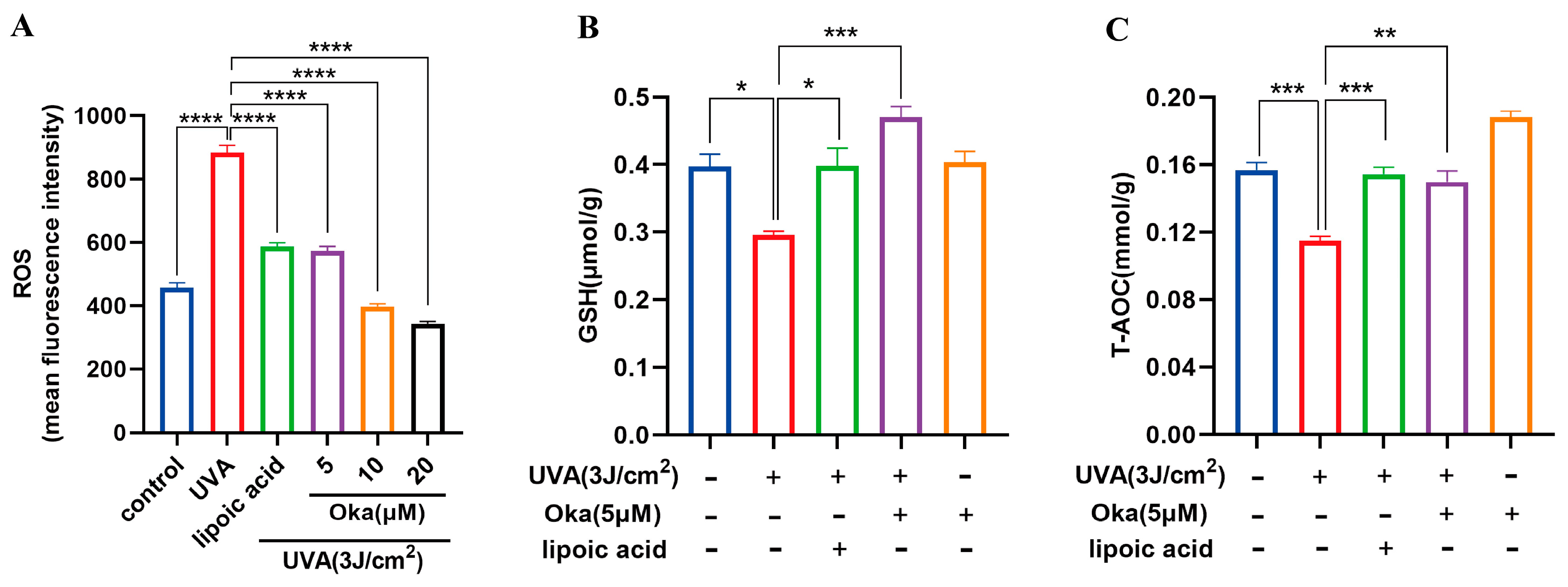 Antioxidants 14 01040 g003