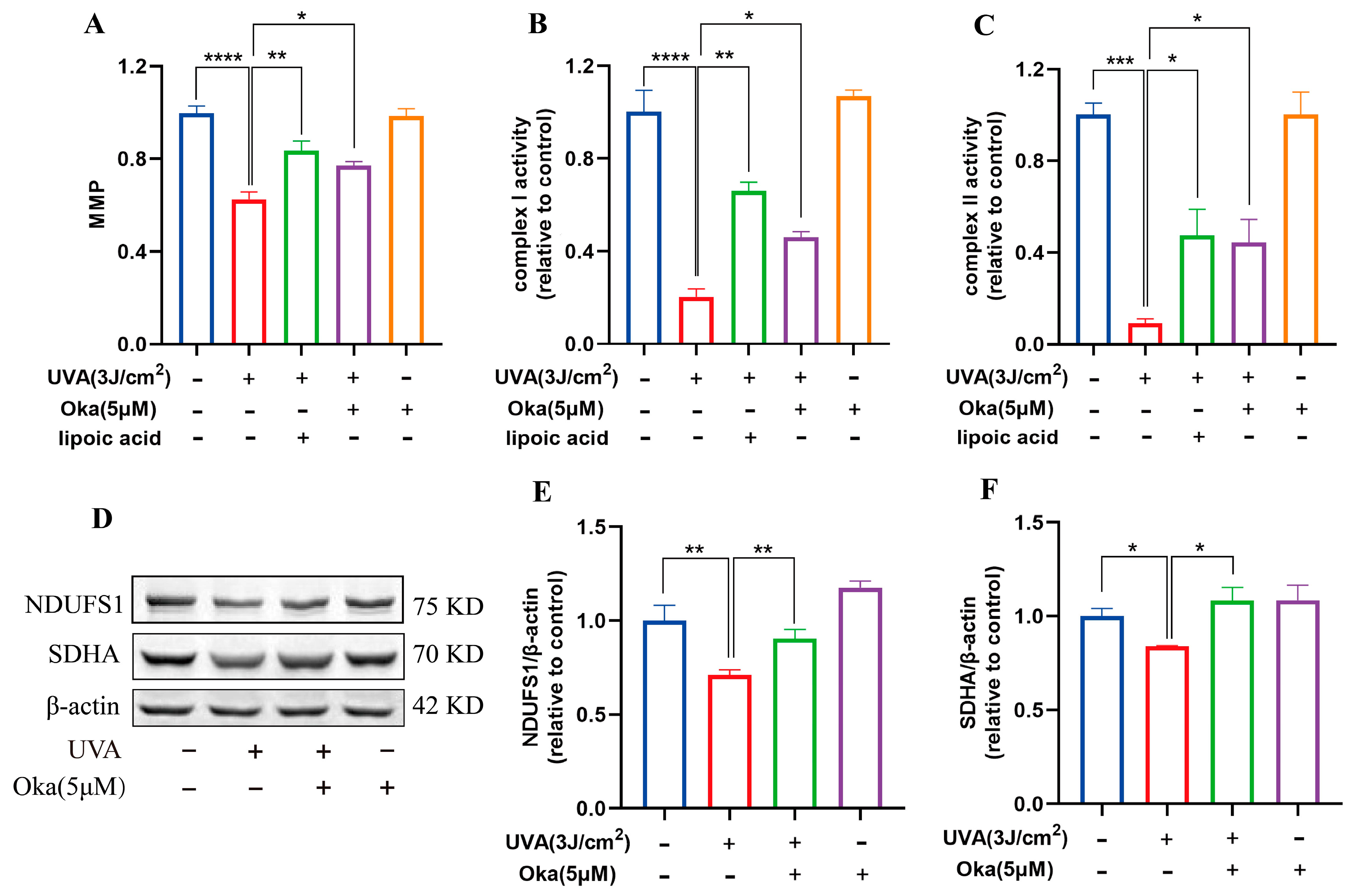 Antioxidants 14 01040 g004