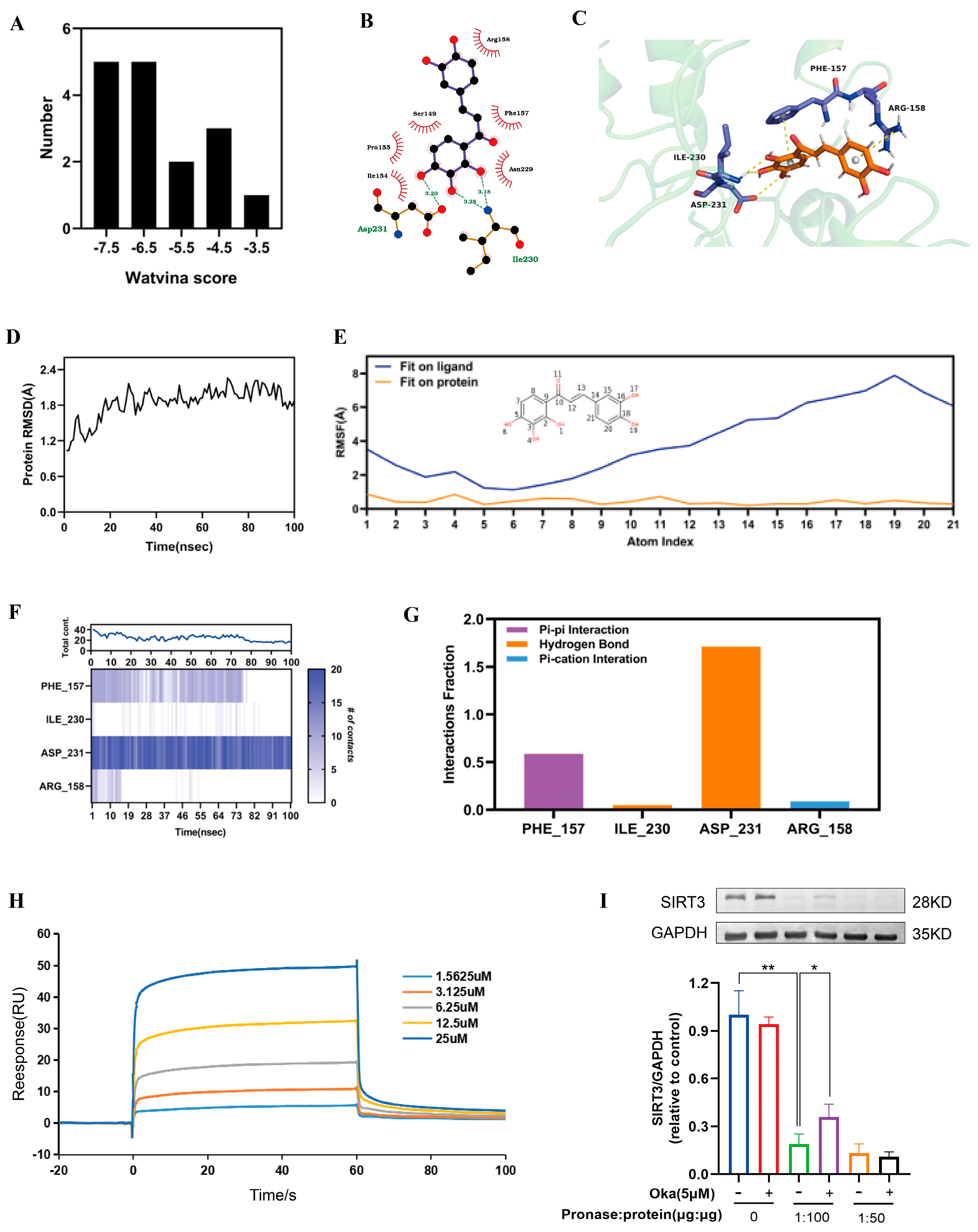 Antioxidants 14 01040 g006