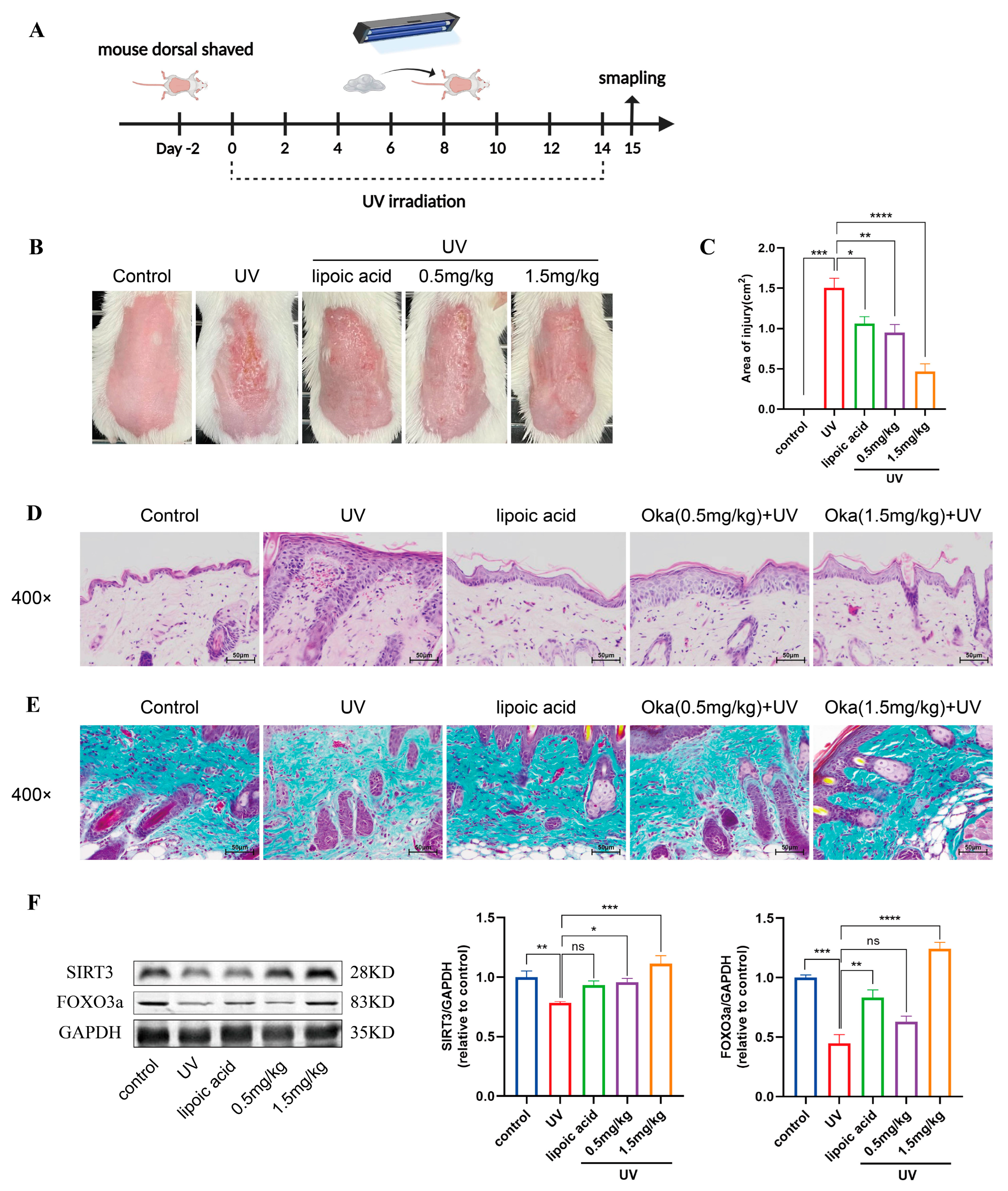Antioxidants 14 01040 g008