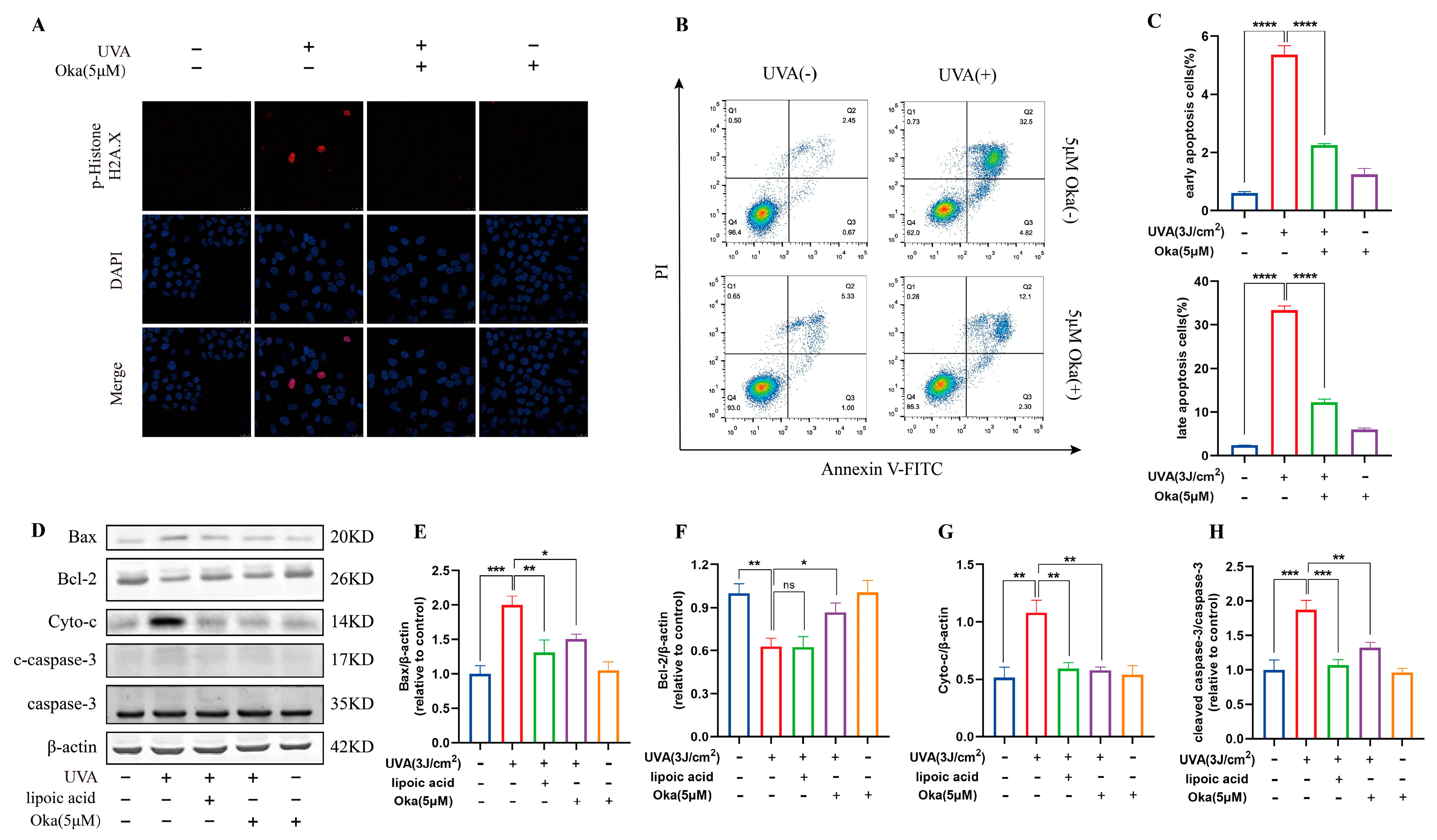 Antioxidants 14 01040 g009
