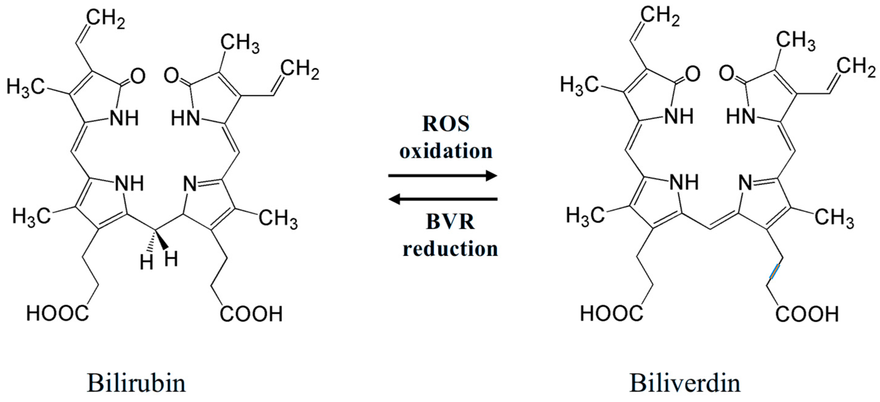 Antioxidants 14 01041 g003
