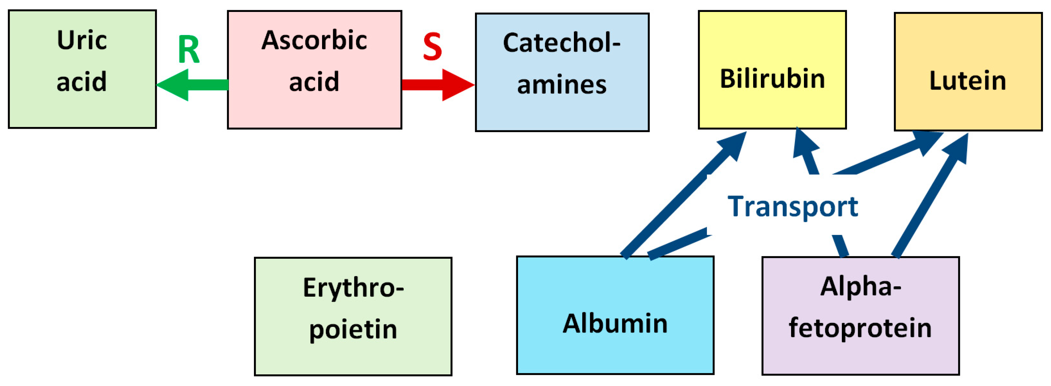 Antioxidants 14 01041 g010