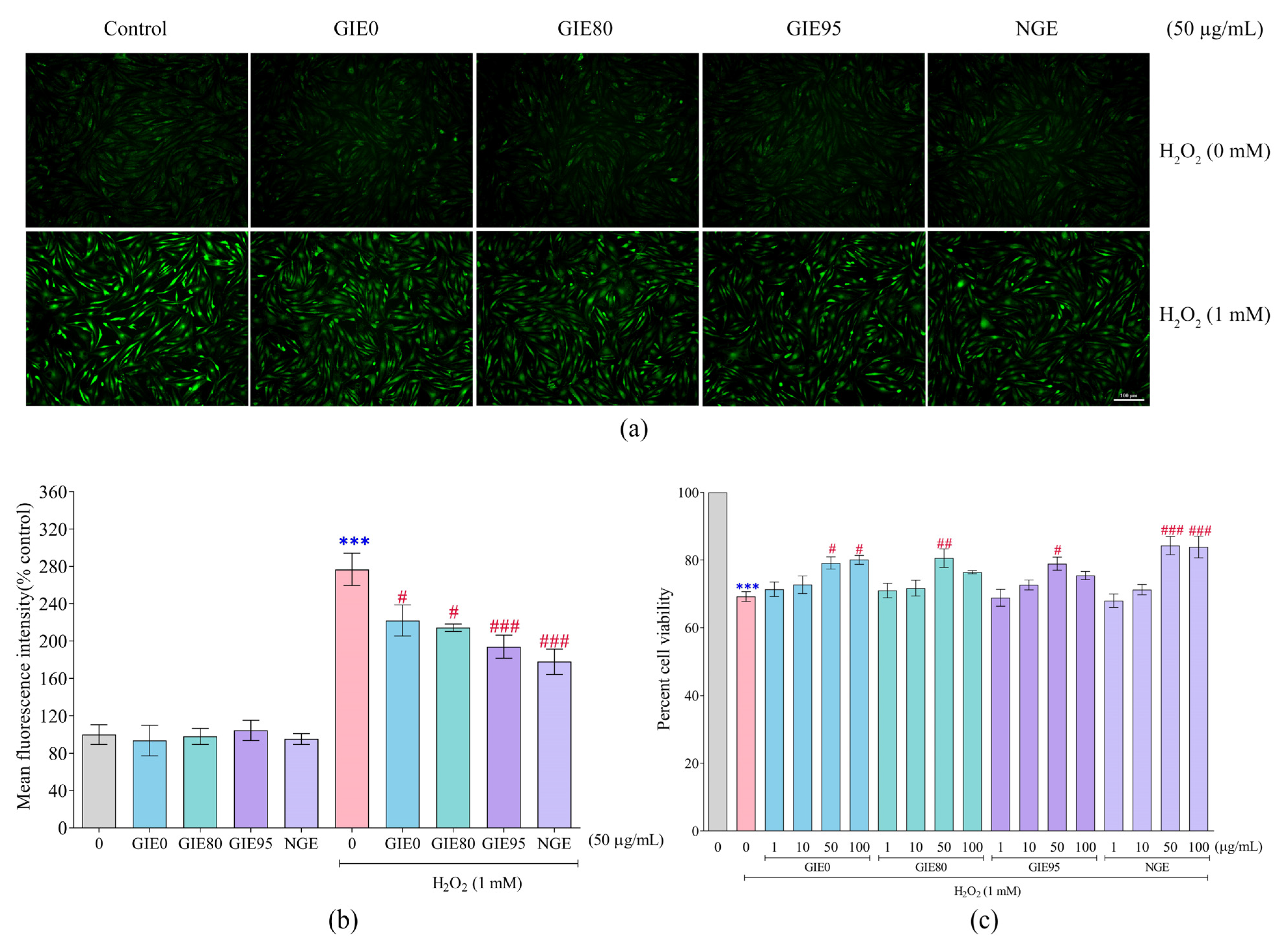 Antioxidants 14 01043 g003