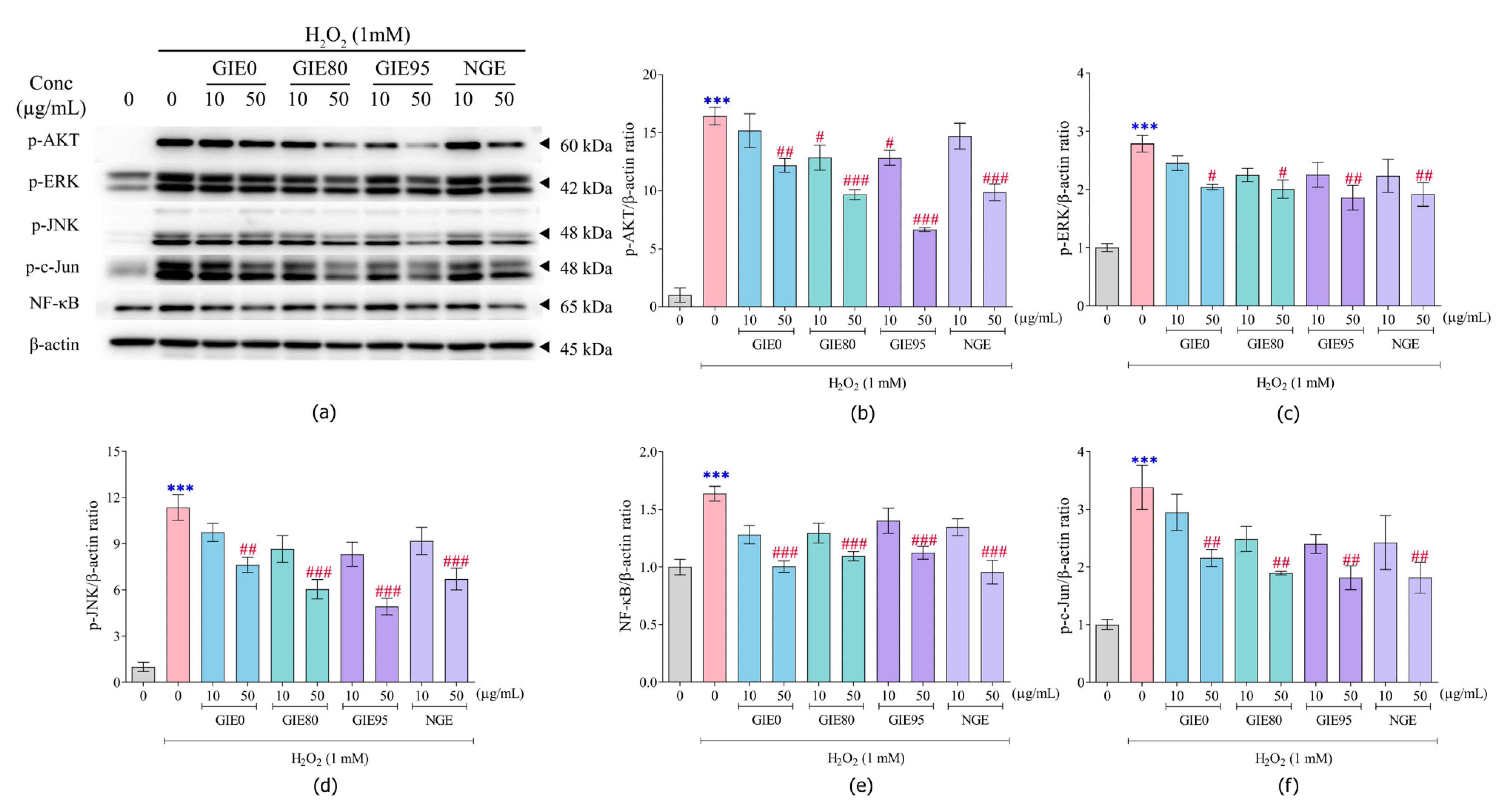 Antioxidants 14 01043 g004