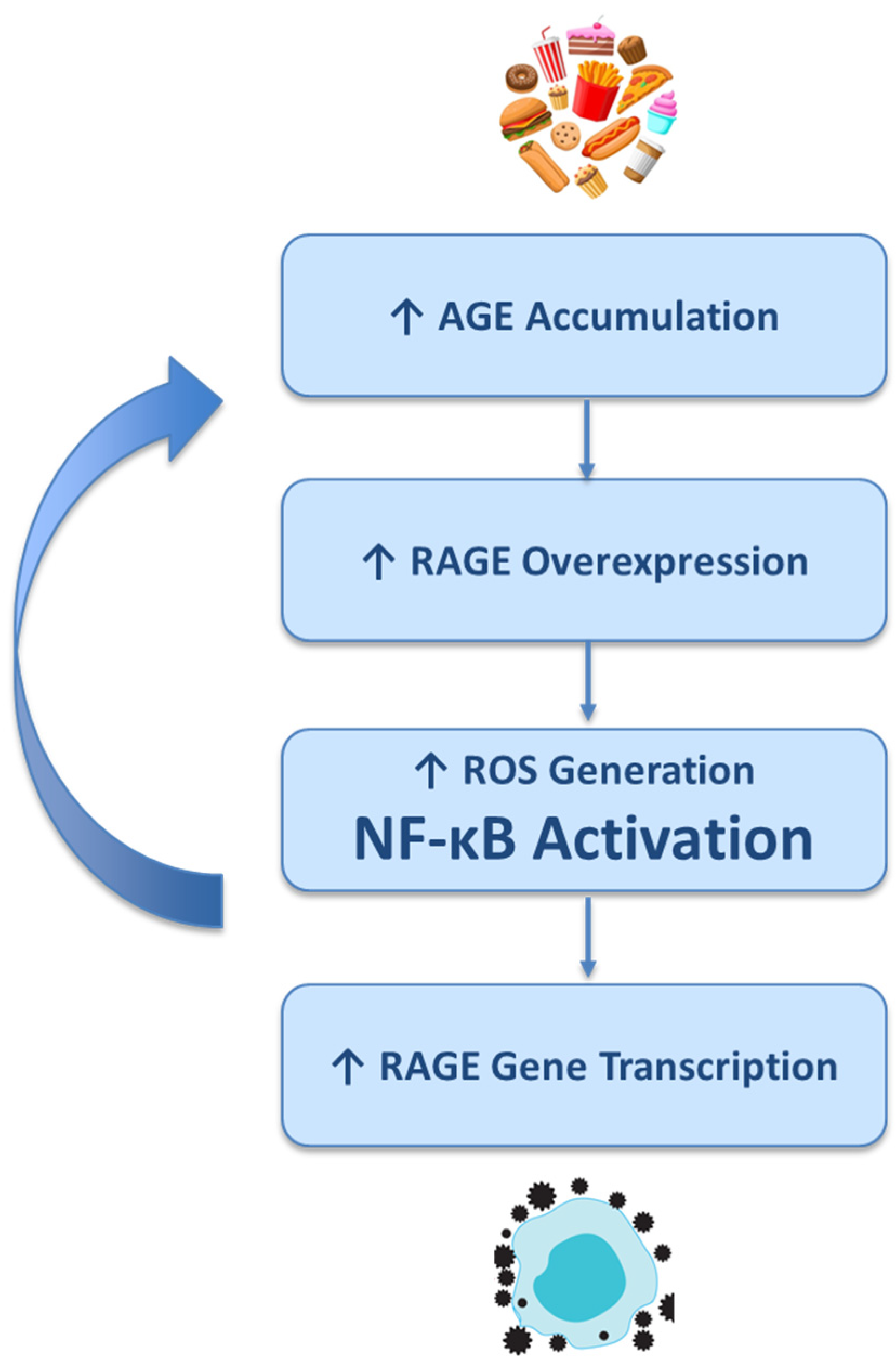 Antioxidants 14 01044 g002