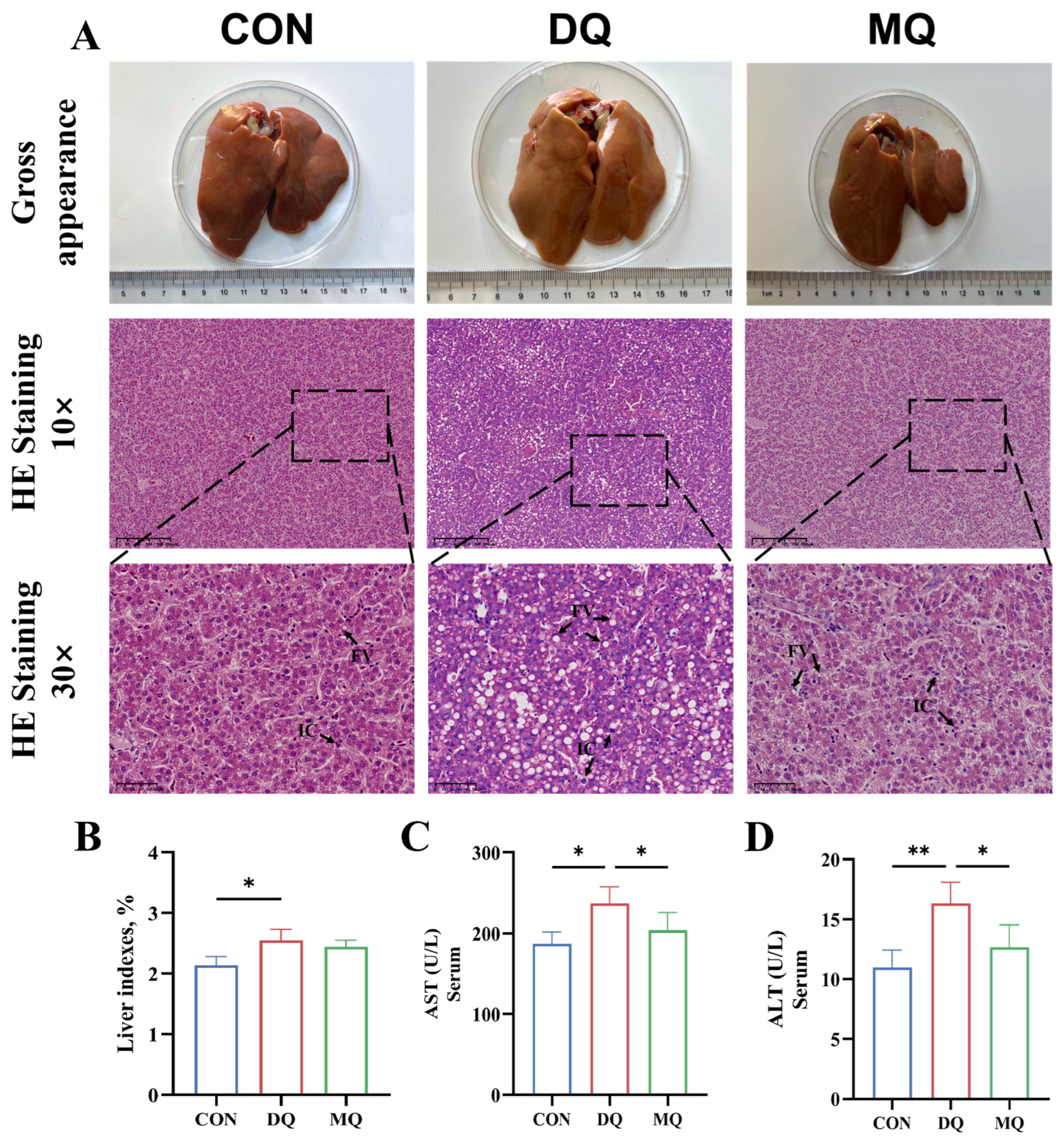 Antioxidants 14 01045 g001 Antioxidants 14 01045 g001