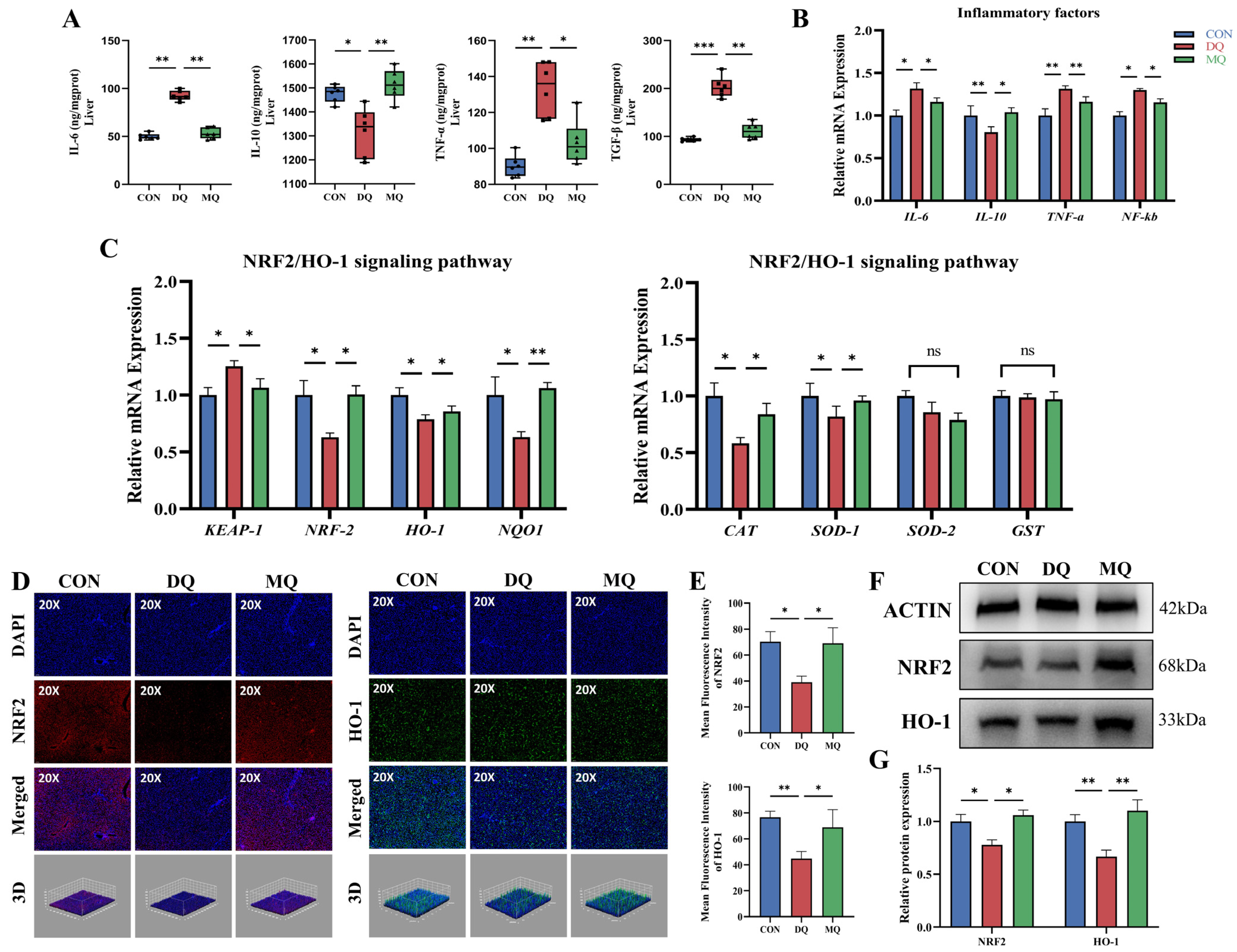 Antioxidants 14 01045 g004 Antioxidants 14 01045 g004