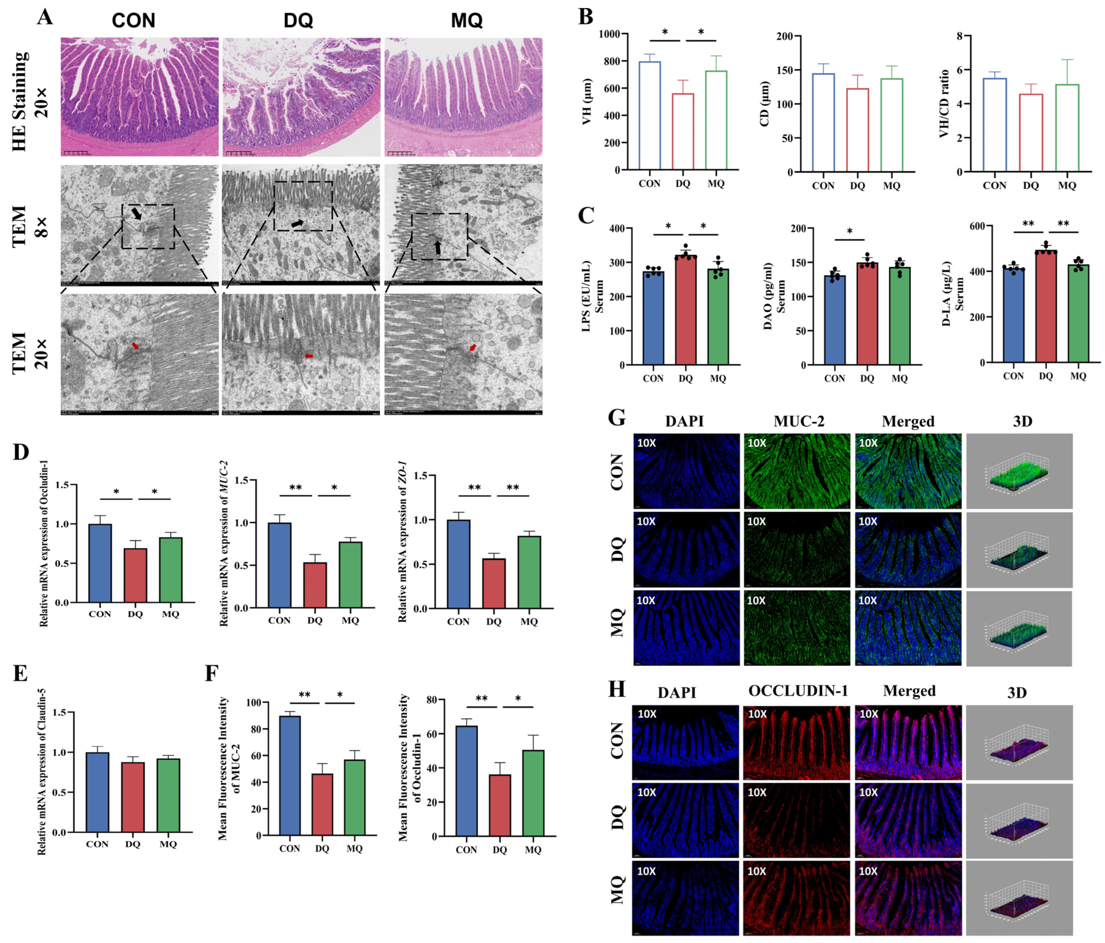 Antioxidants 14 01045 g005 Antioxidants 14 01045 g005