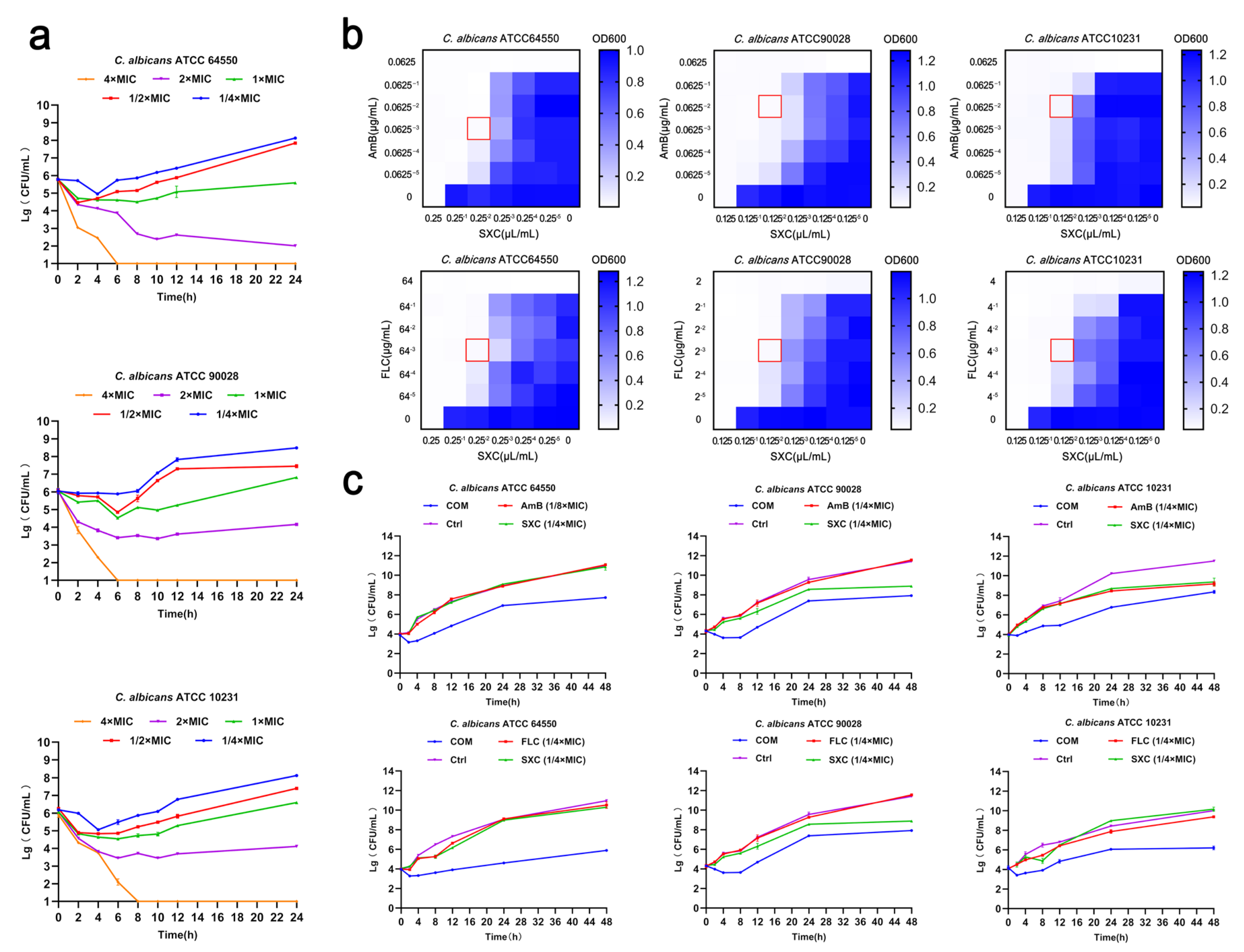 Antioxidants 14 01046 g002 Antioxidants 14 01046 g002