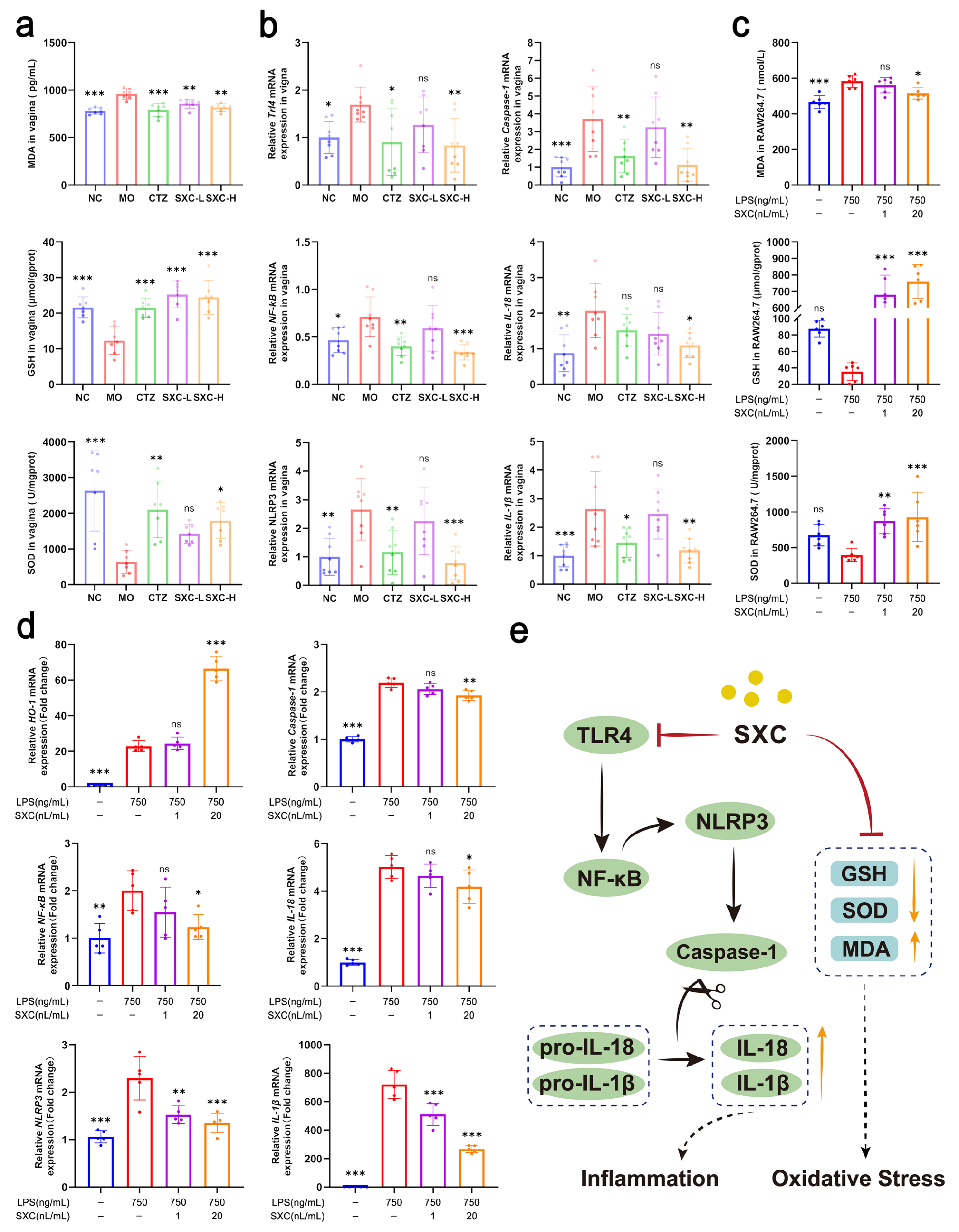 Antioxidants 14 01046 g004 Antioxidants 14 01046 g004