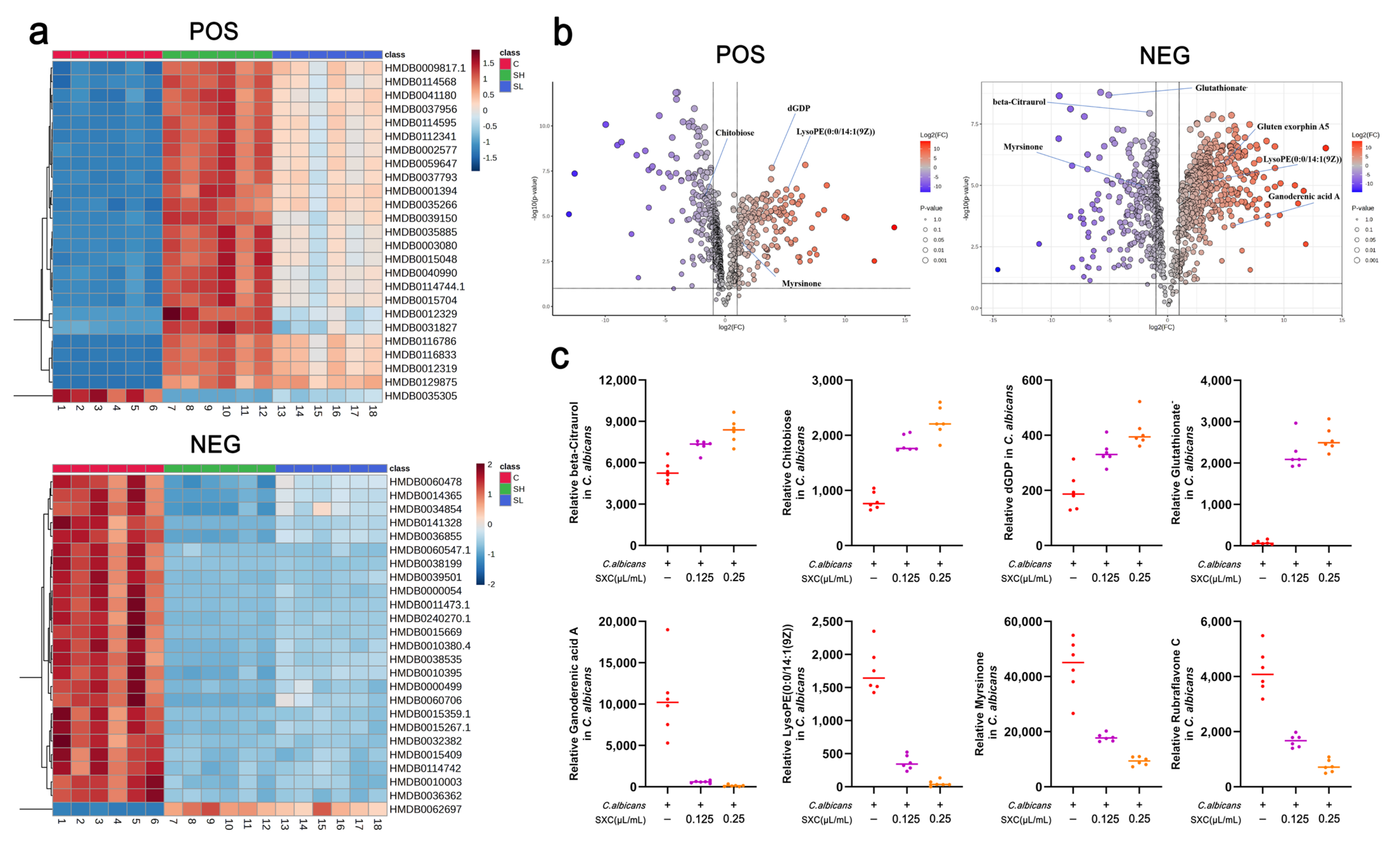 Antioxidants 14 01046 g006 Antioxidants 14 01046 g006