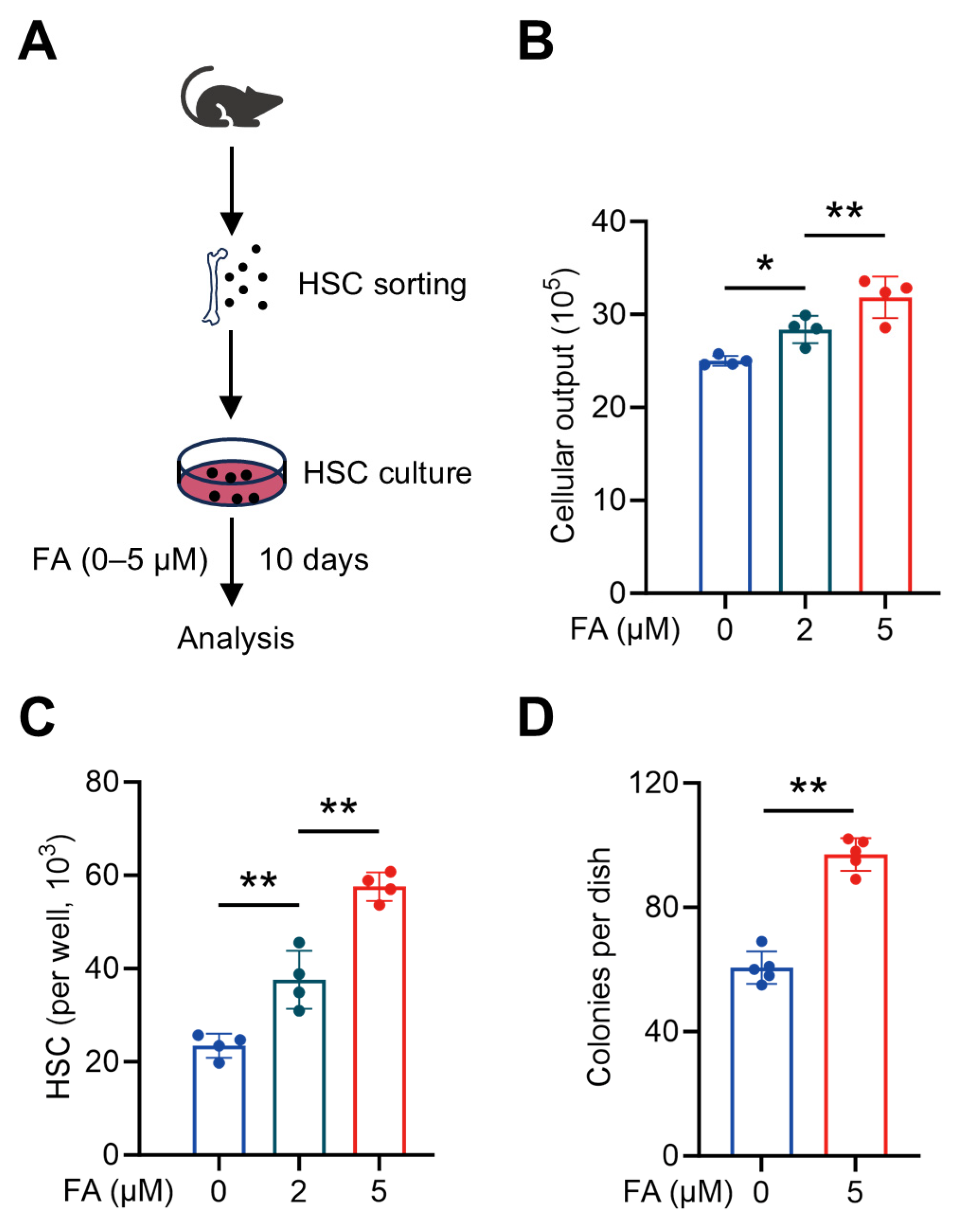 Antioxidants 14 01053 g003