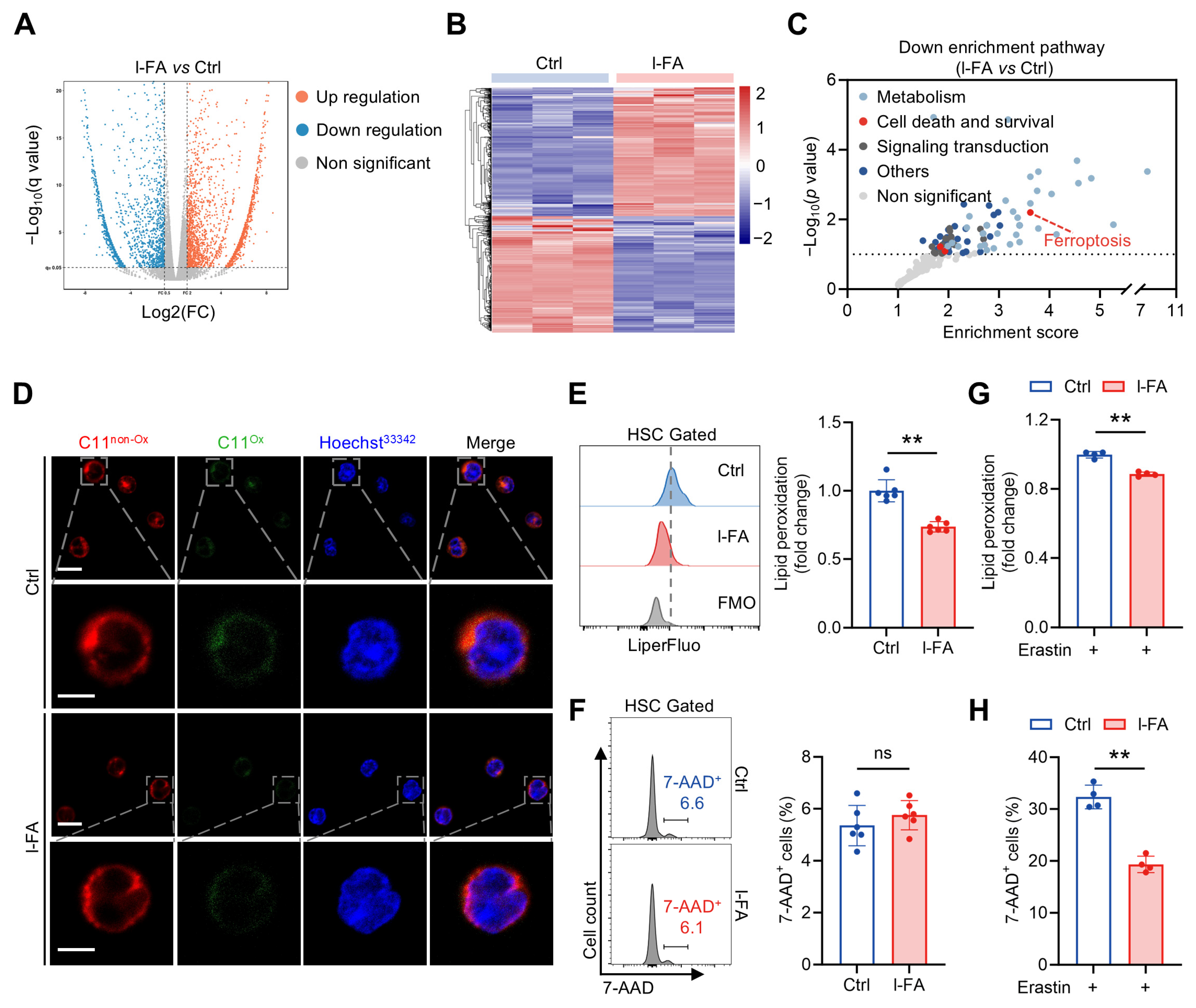 Antioxidants 14 01053 g004