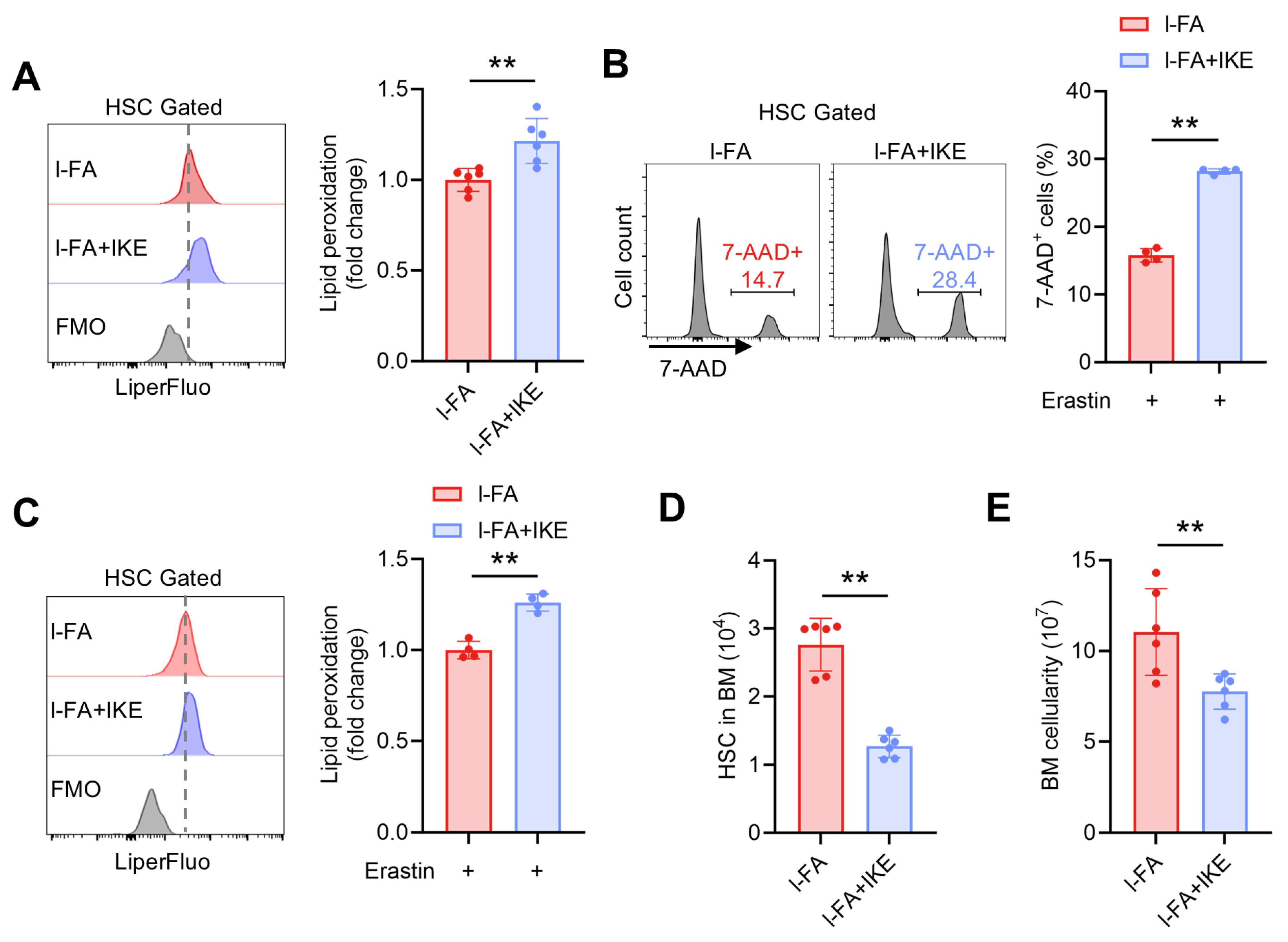 Antioxidants 14 01053 g005