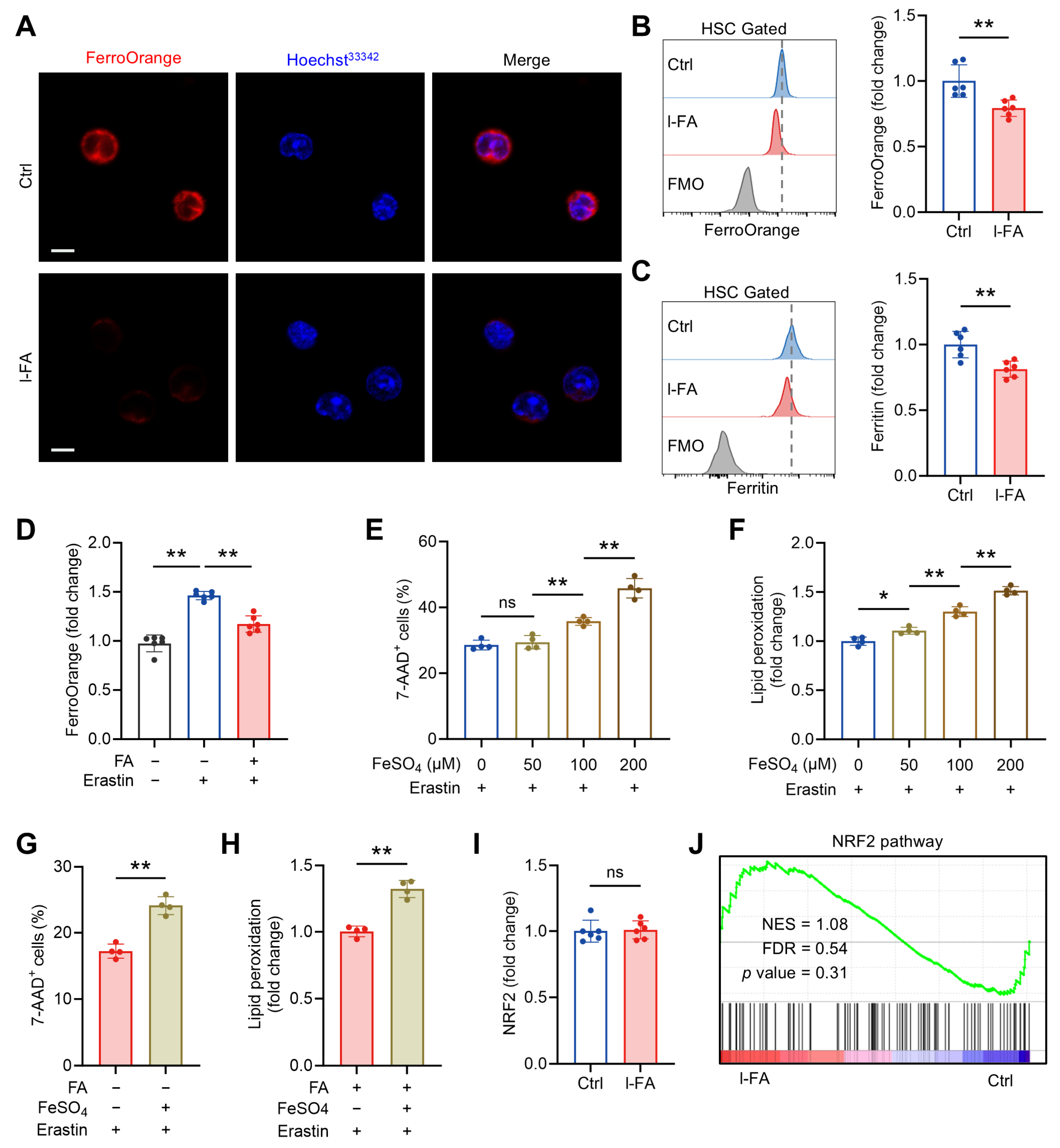 Antioxidants 14 01053 g006