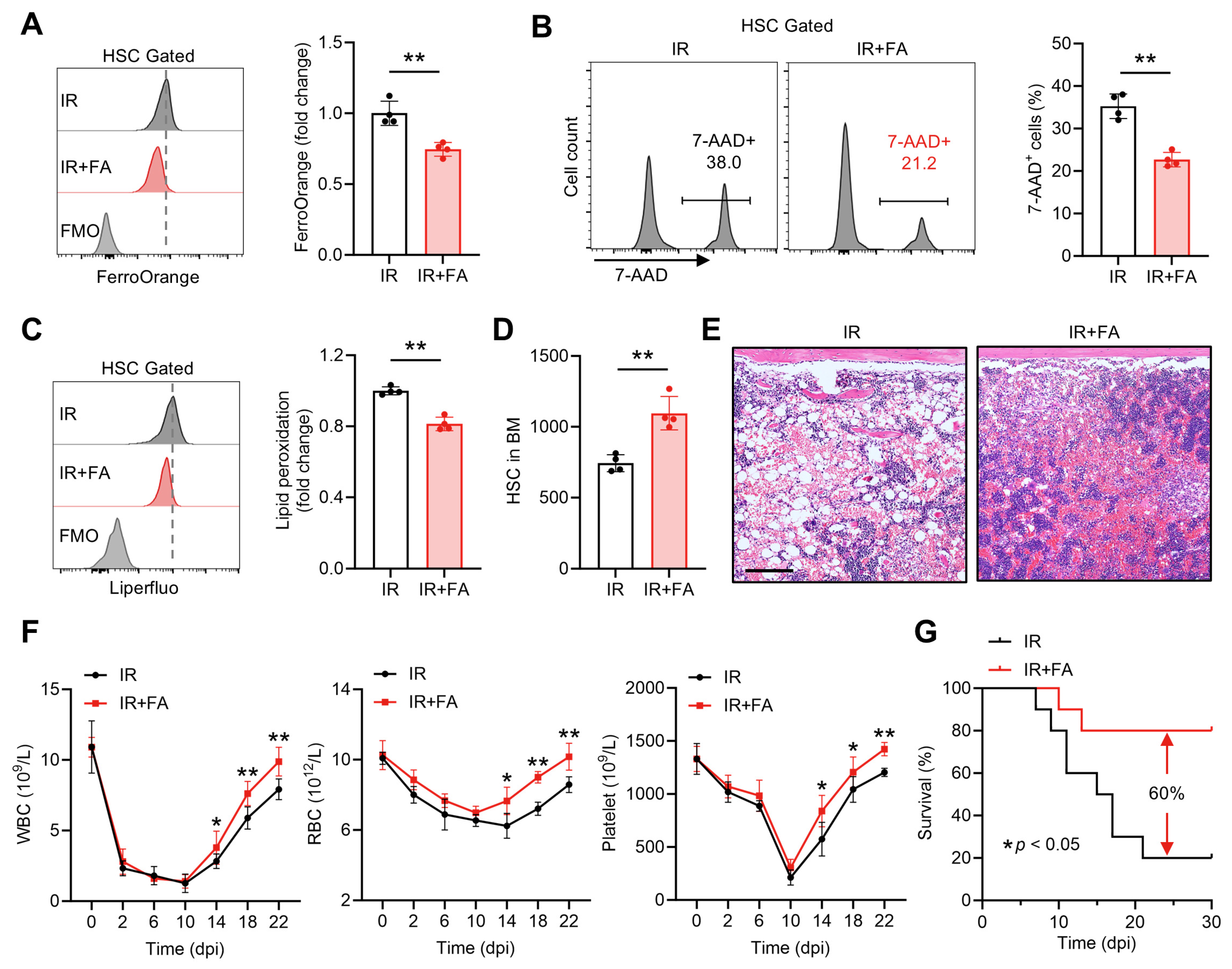 Antioxidants 14 01053 g007