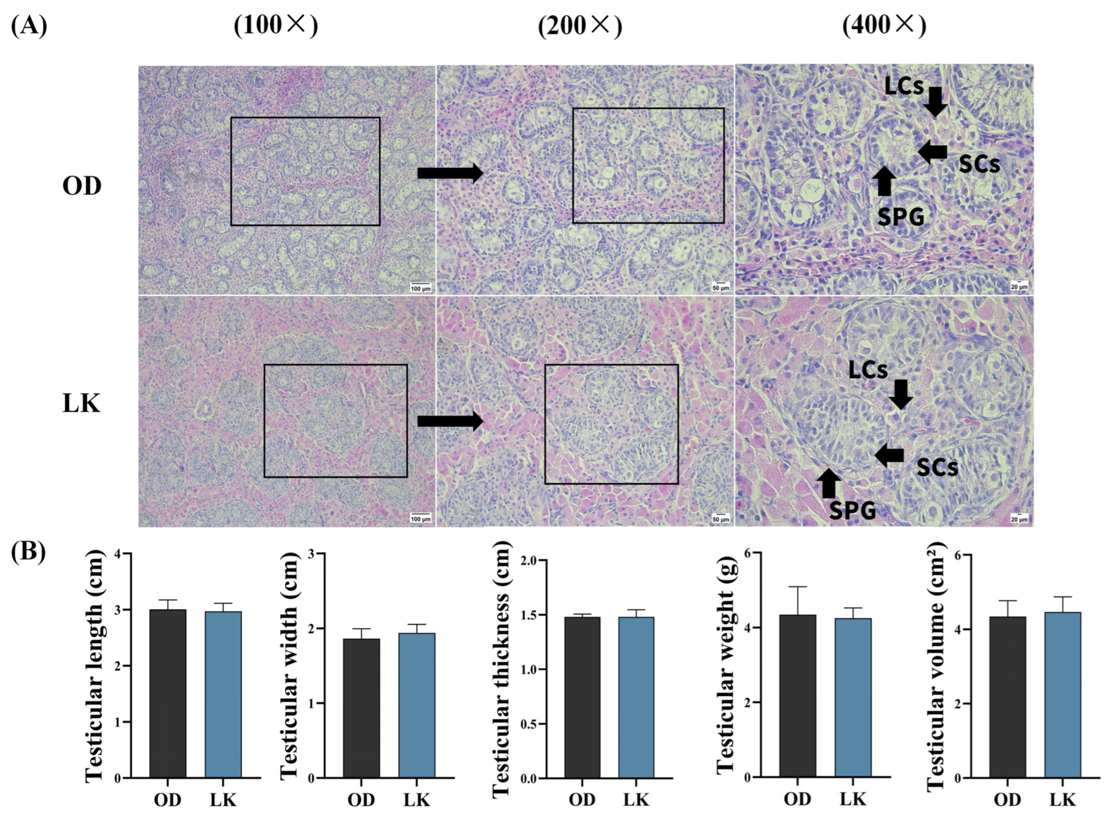 Antioxidants 14 01056 g001