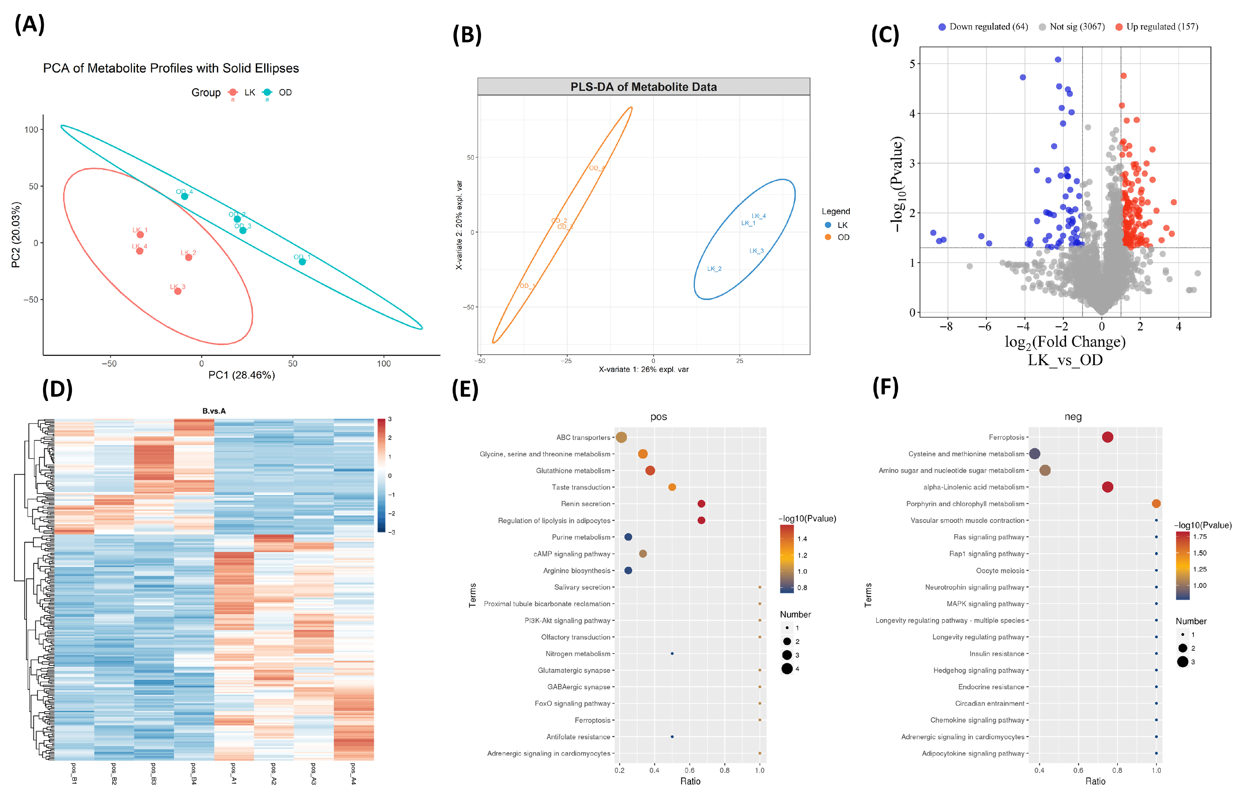 Antioxidants 14 01056 g004