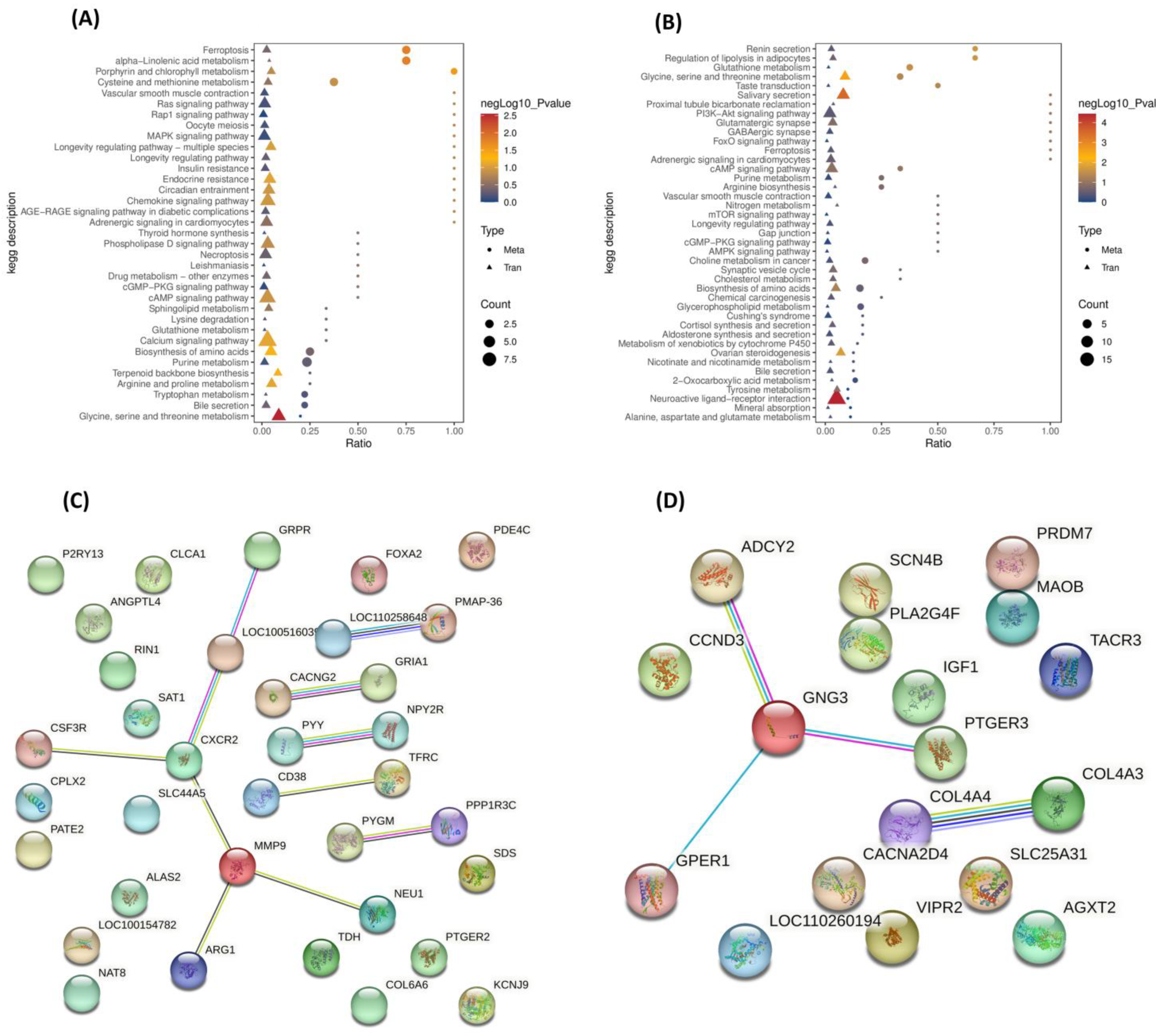Antioxidants 14 01056 g005