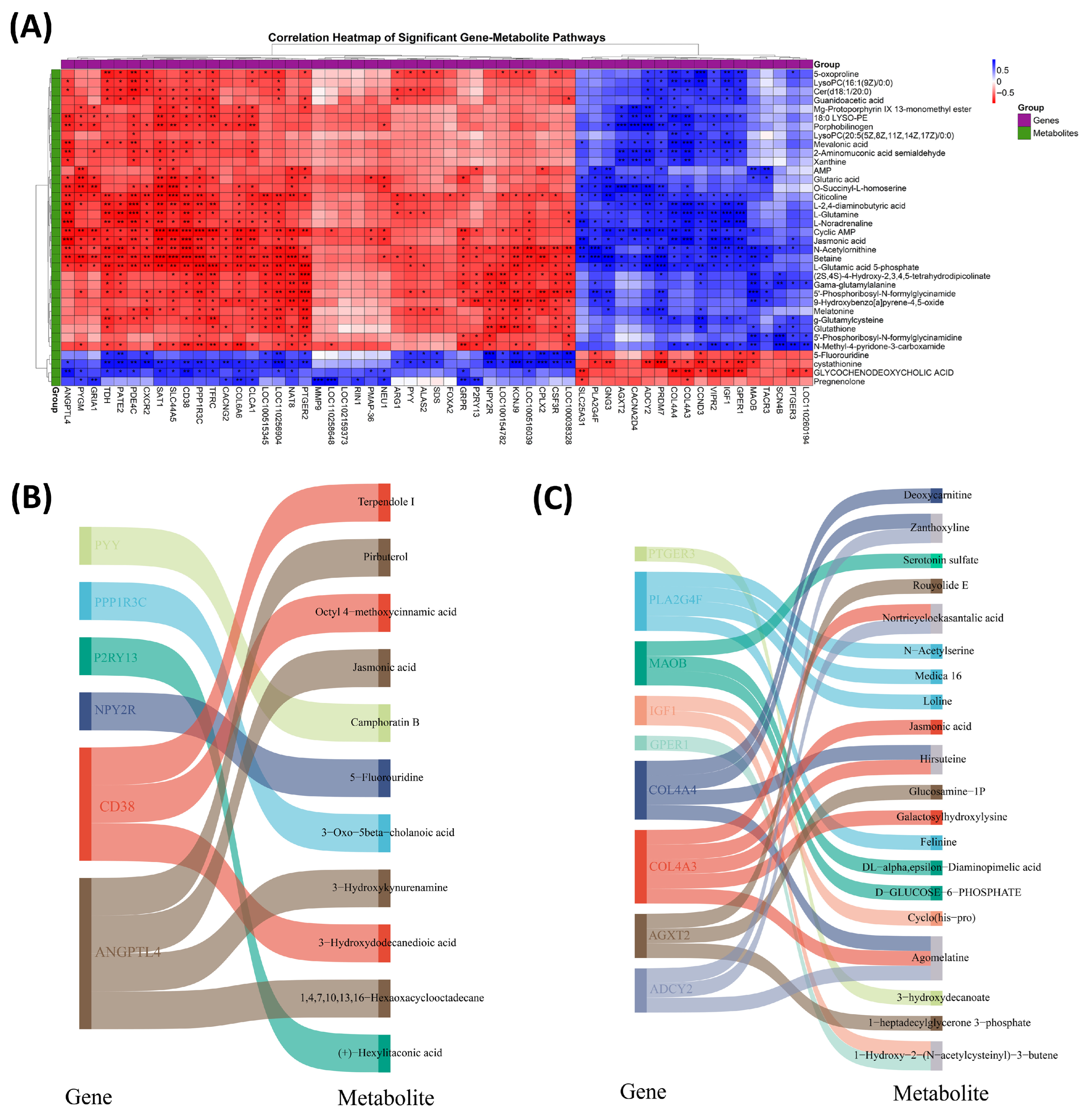 Antioxidants 14 01056 g006