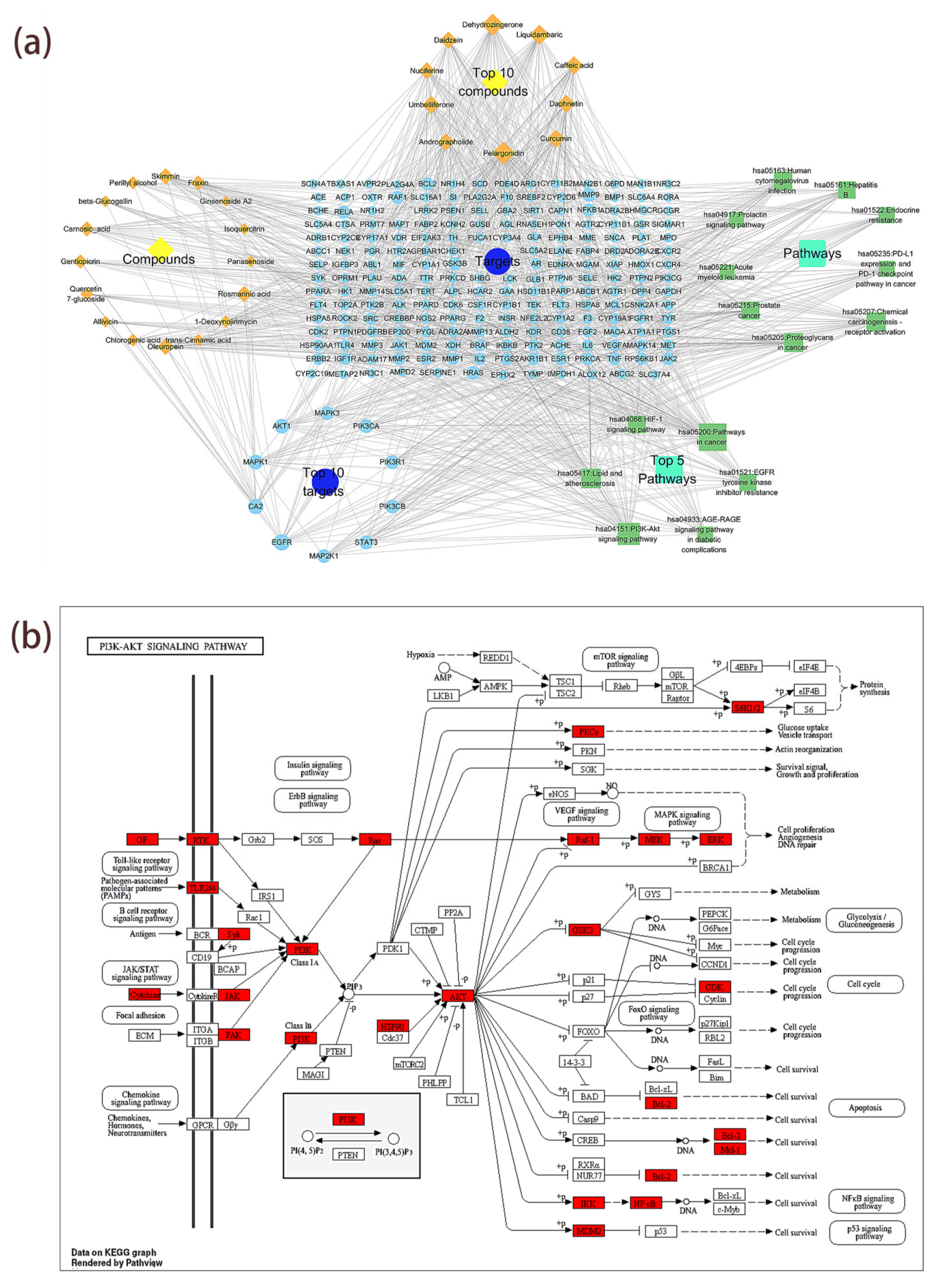 Antioxidants 14 01065 g007 Antioxidants 14 01065 g007