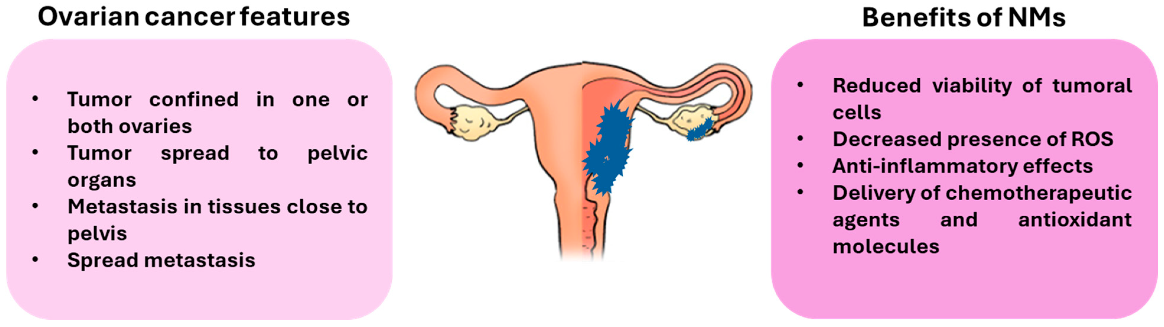 Antioxidants 14 01066 g002