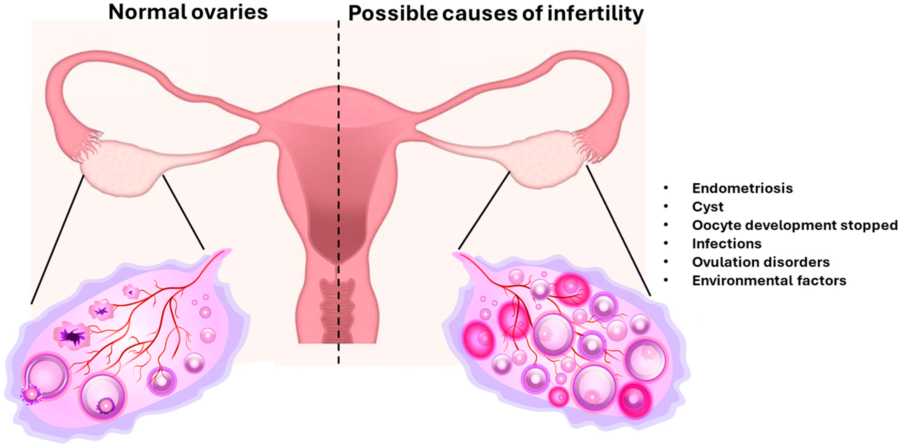Antioxidants 14 01066 g003
