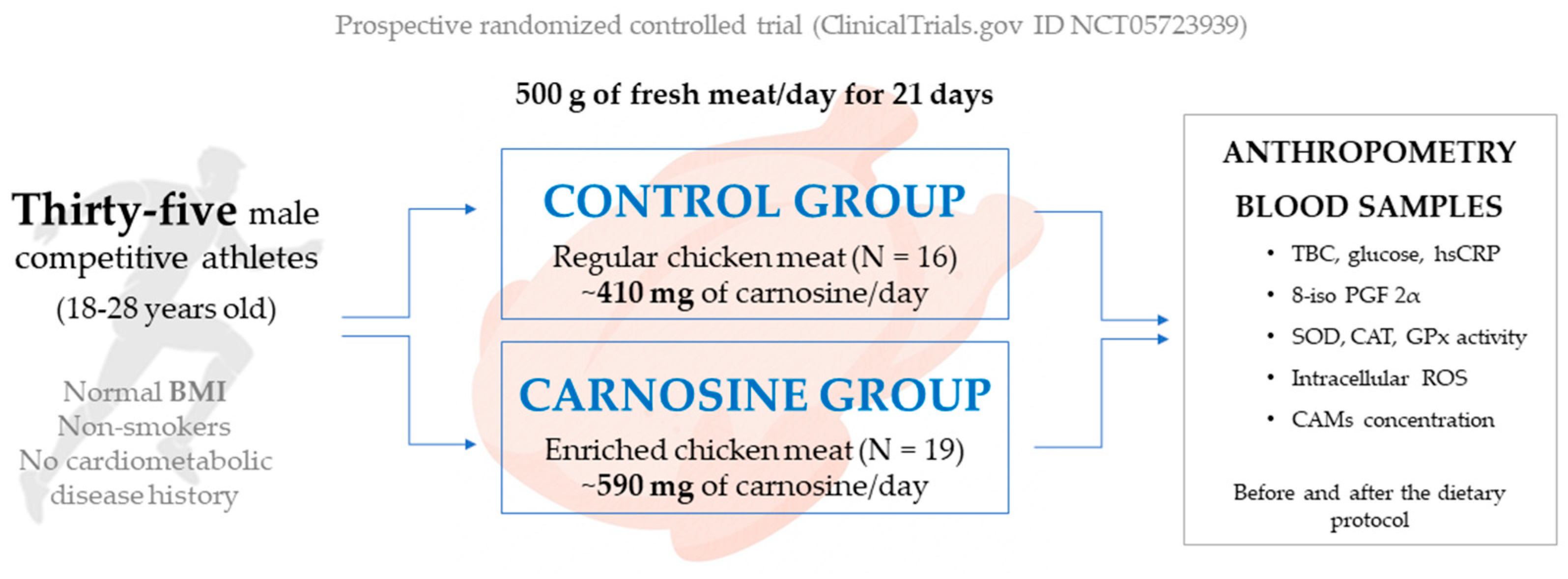 Antioxidants 14 01069 g001