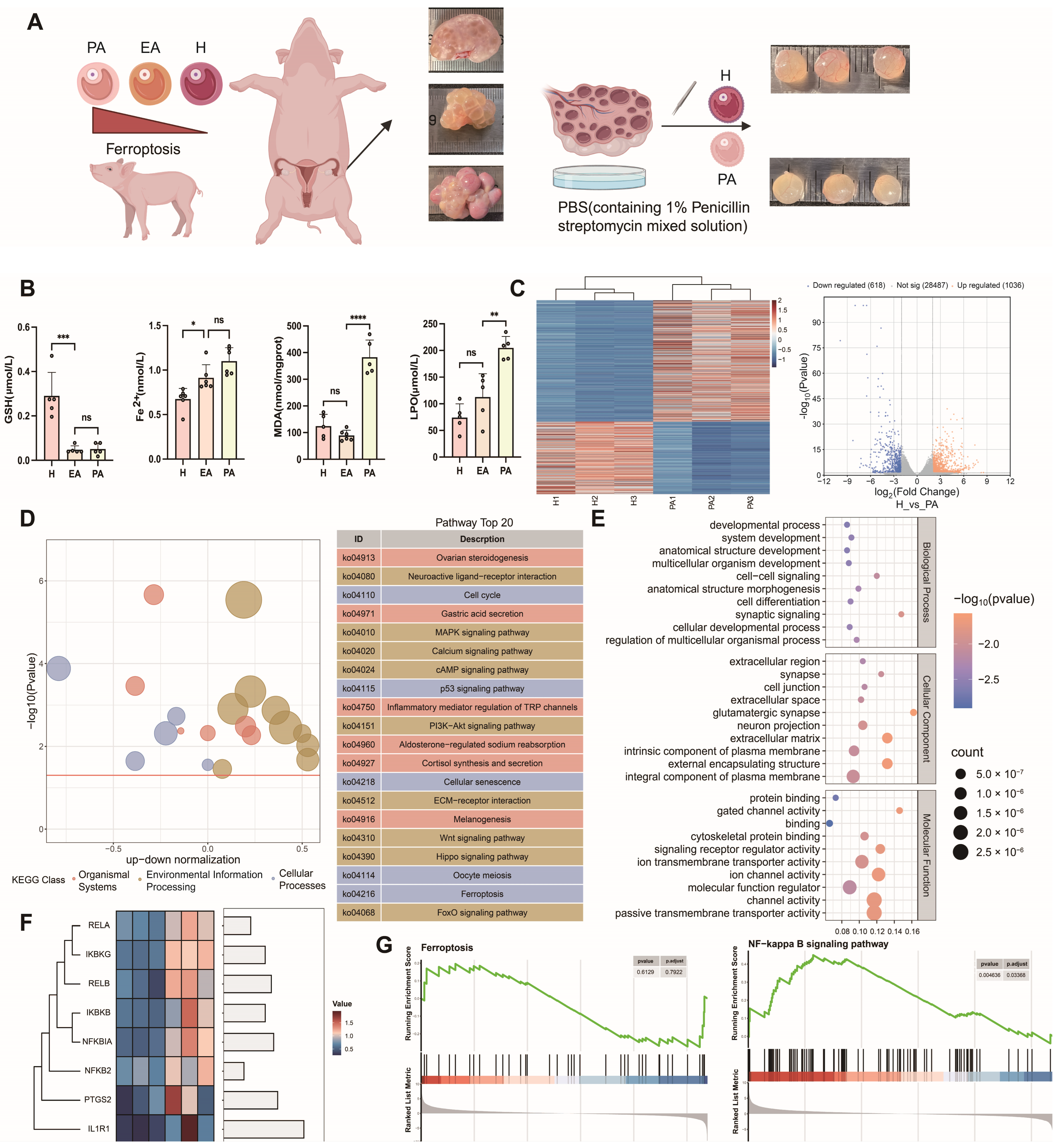 Antioxidants 14 01071 g001