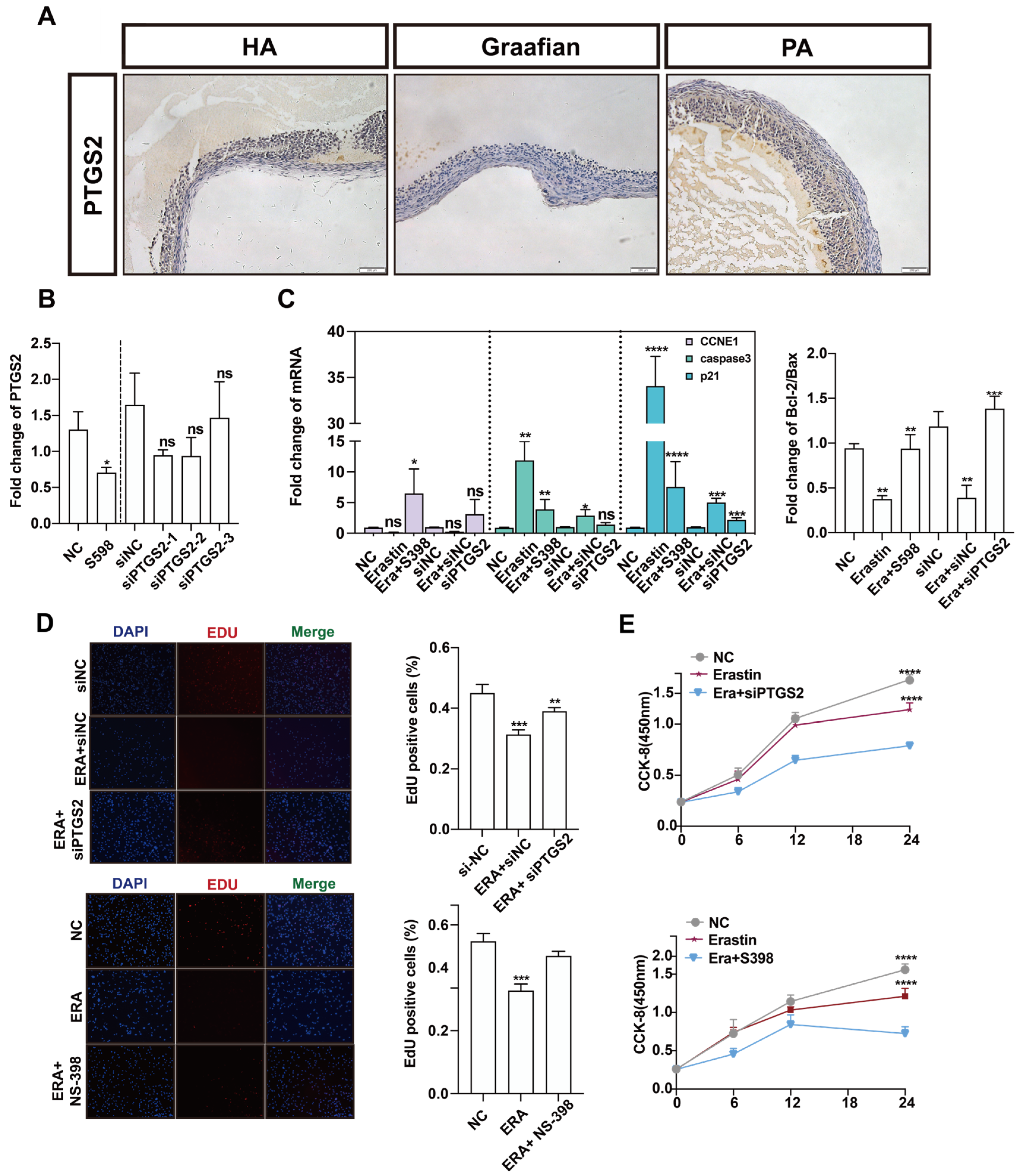Antioxidants 14 01071 g004