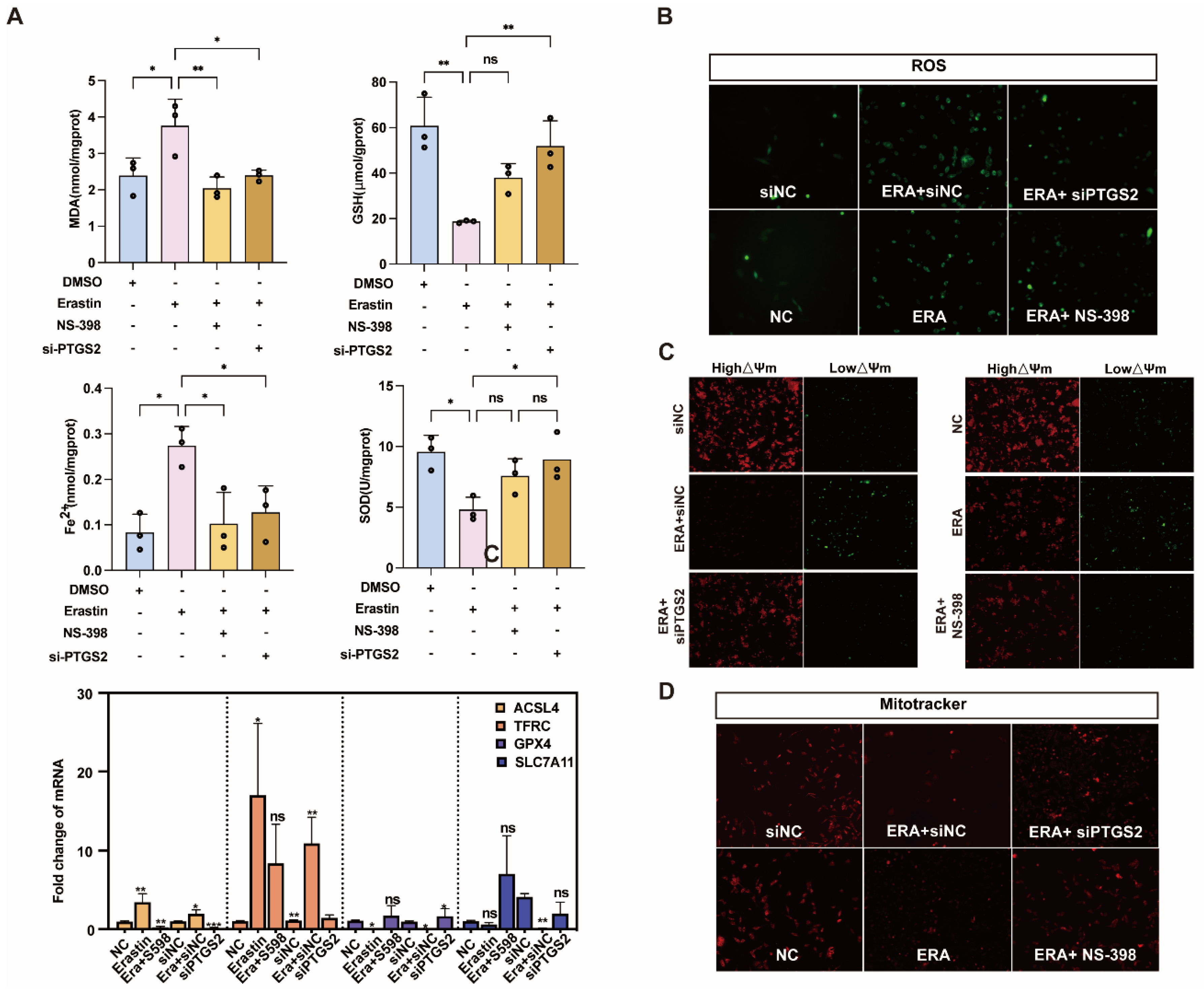 Antioxidants 14 01071 g005