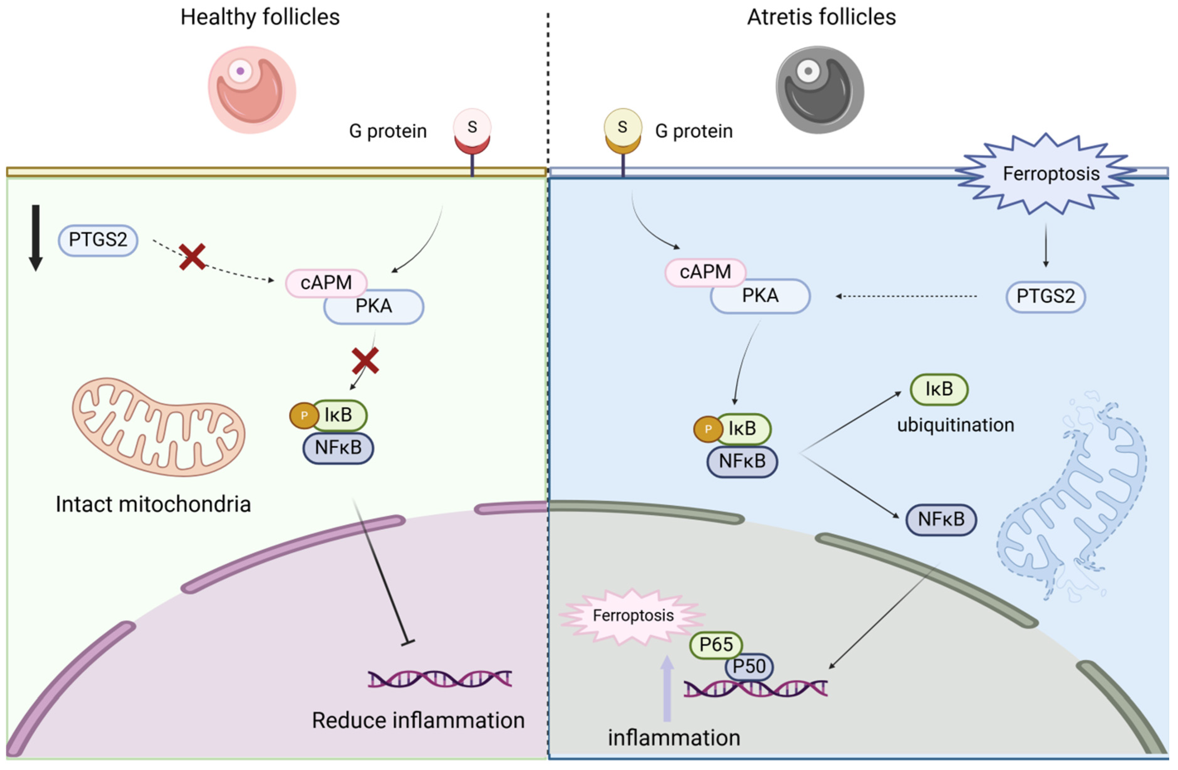 Antioxidants 14 01071 g009